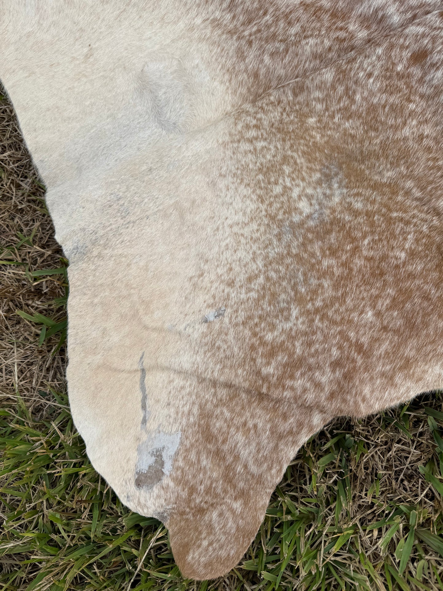 Craft hide side - 121