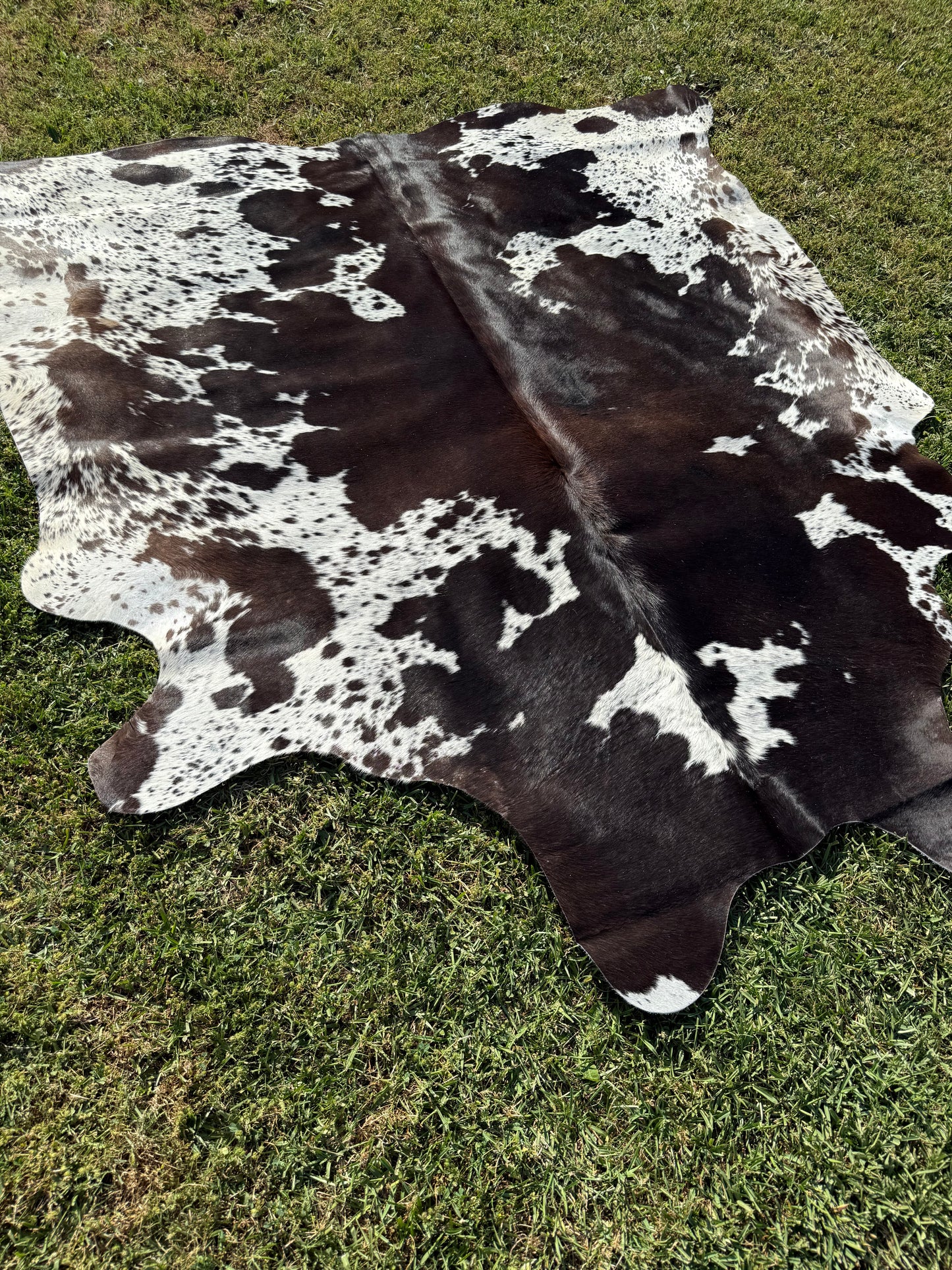Cowhide Rug 343