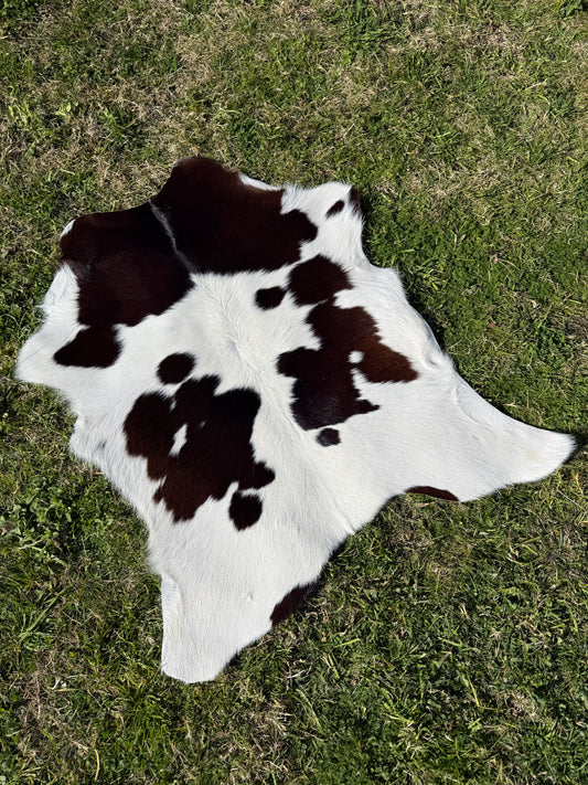 Calf Hide 53