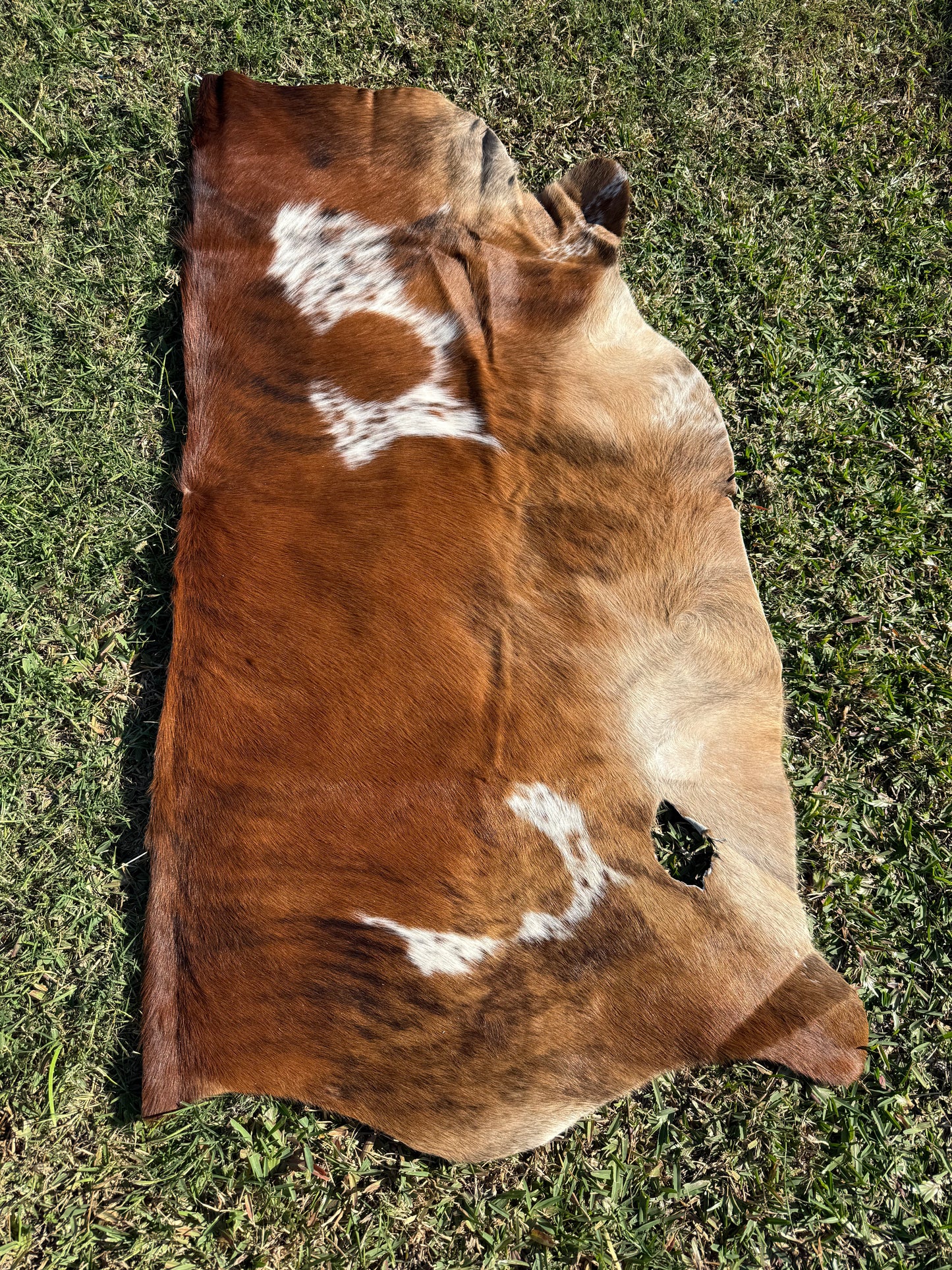Craft hide side - 85