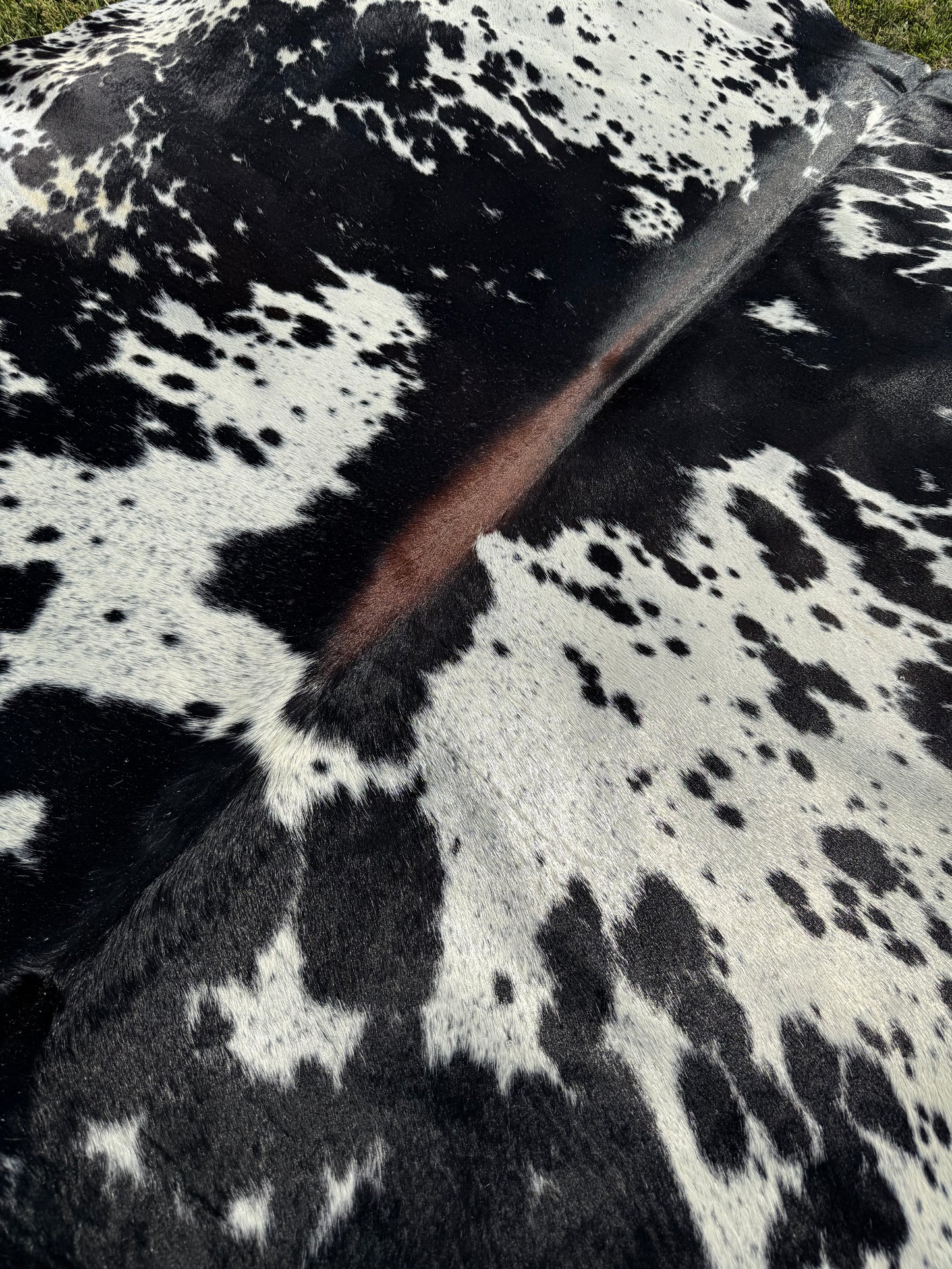 Cowhide Rug 344