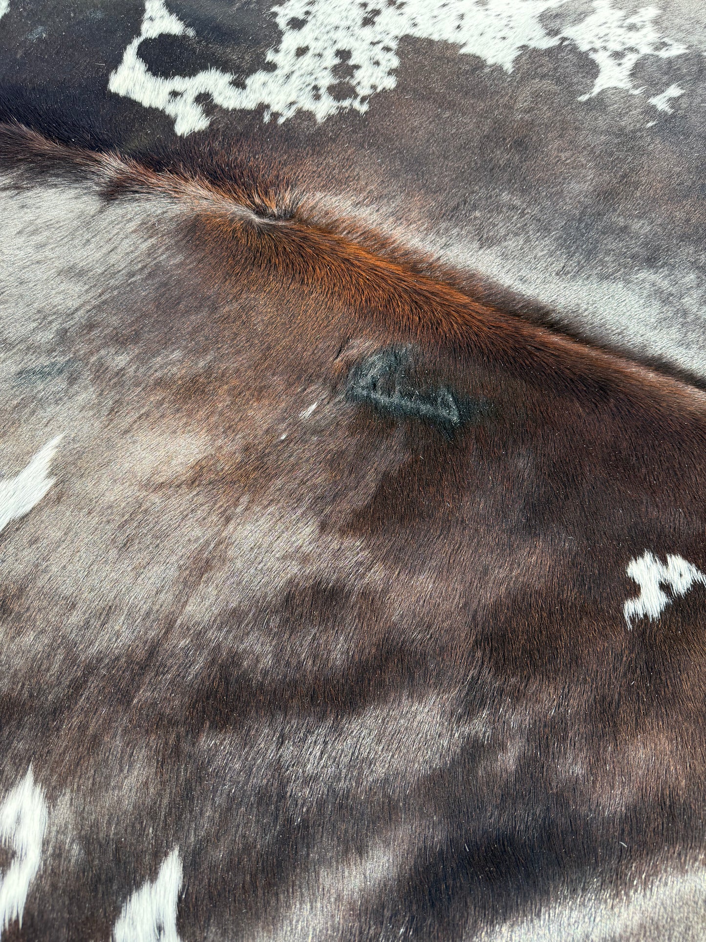 Cowhide Rug 343