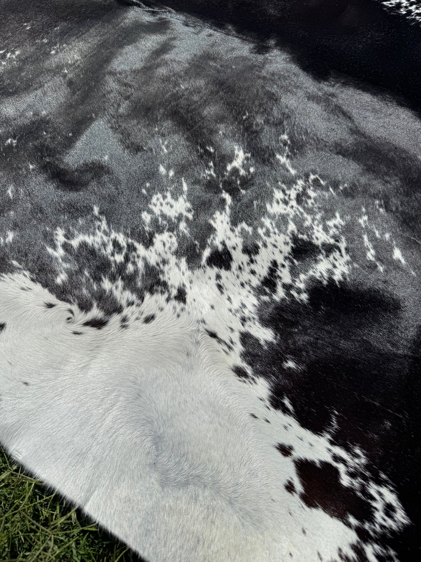 Cowhide Rug 293