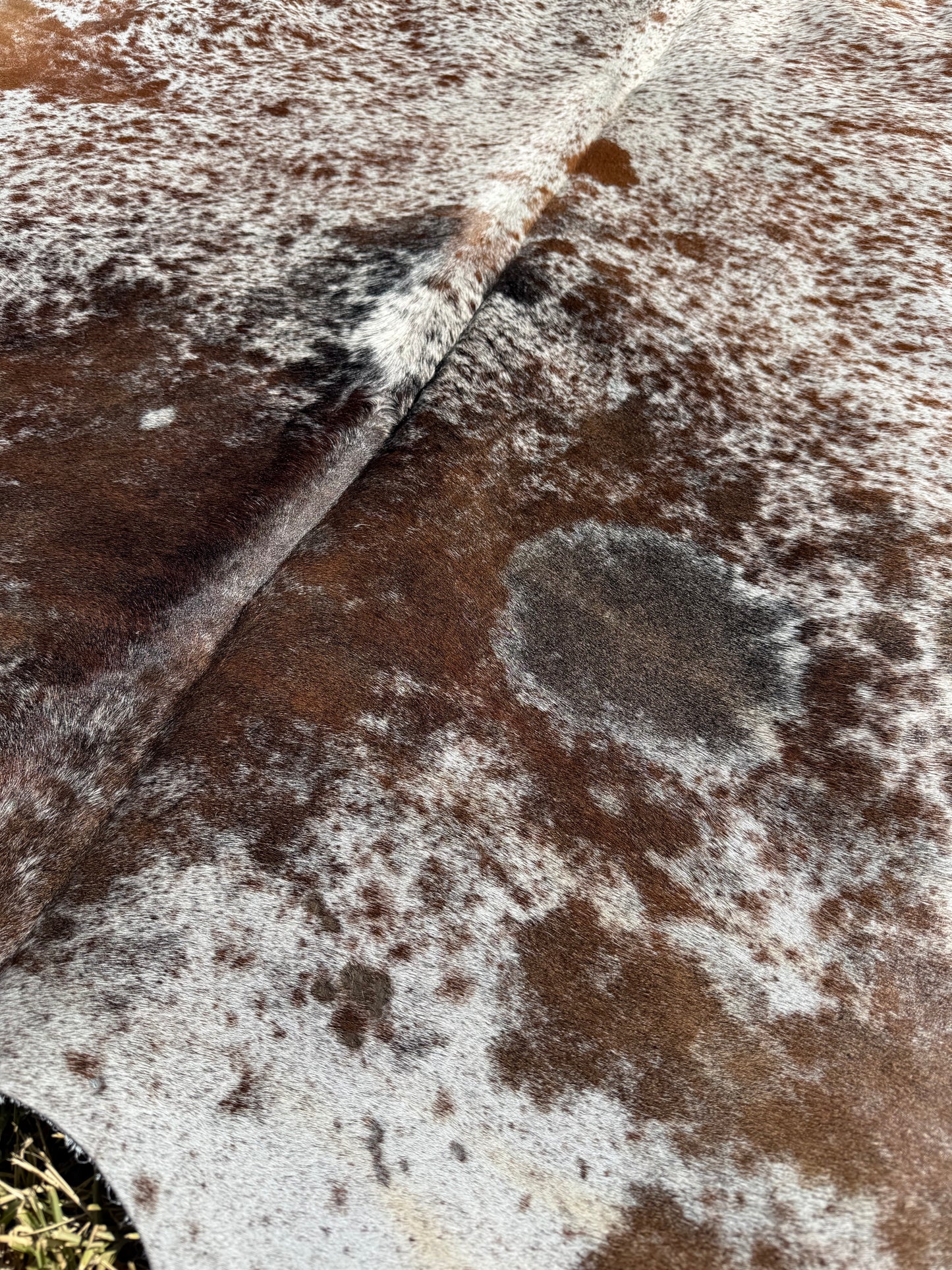 Cowhide Rug 401