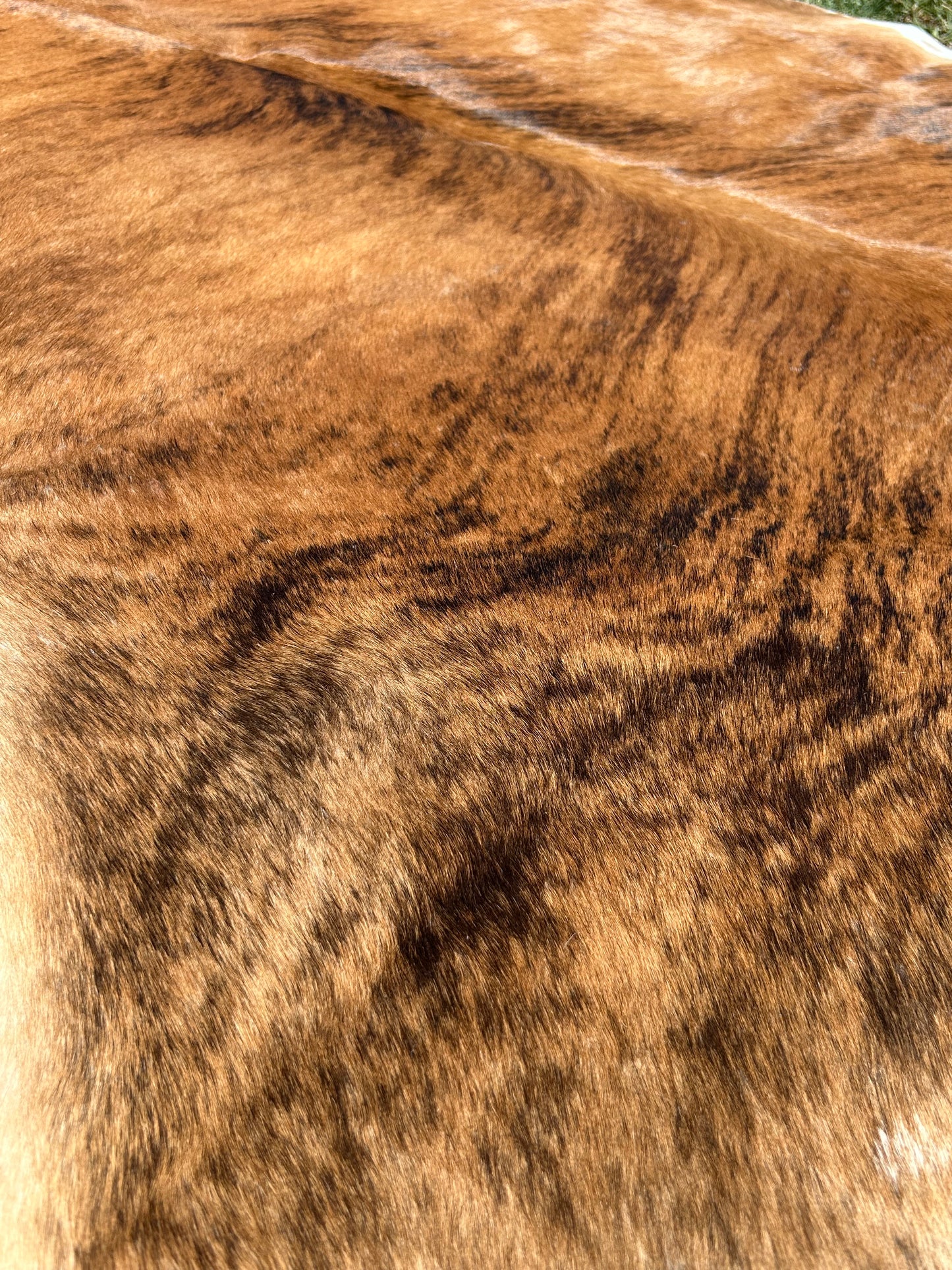 Cowhide Rug 263