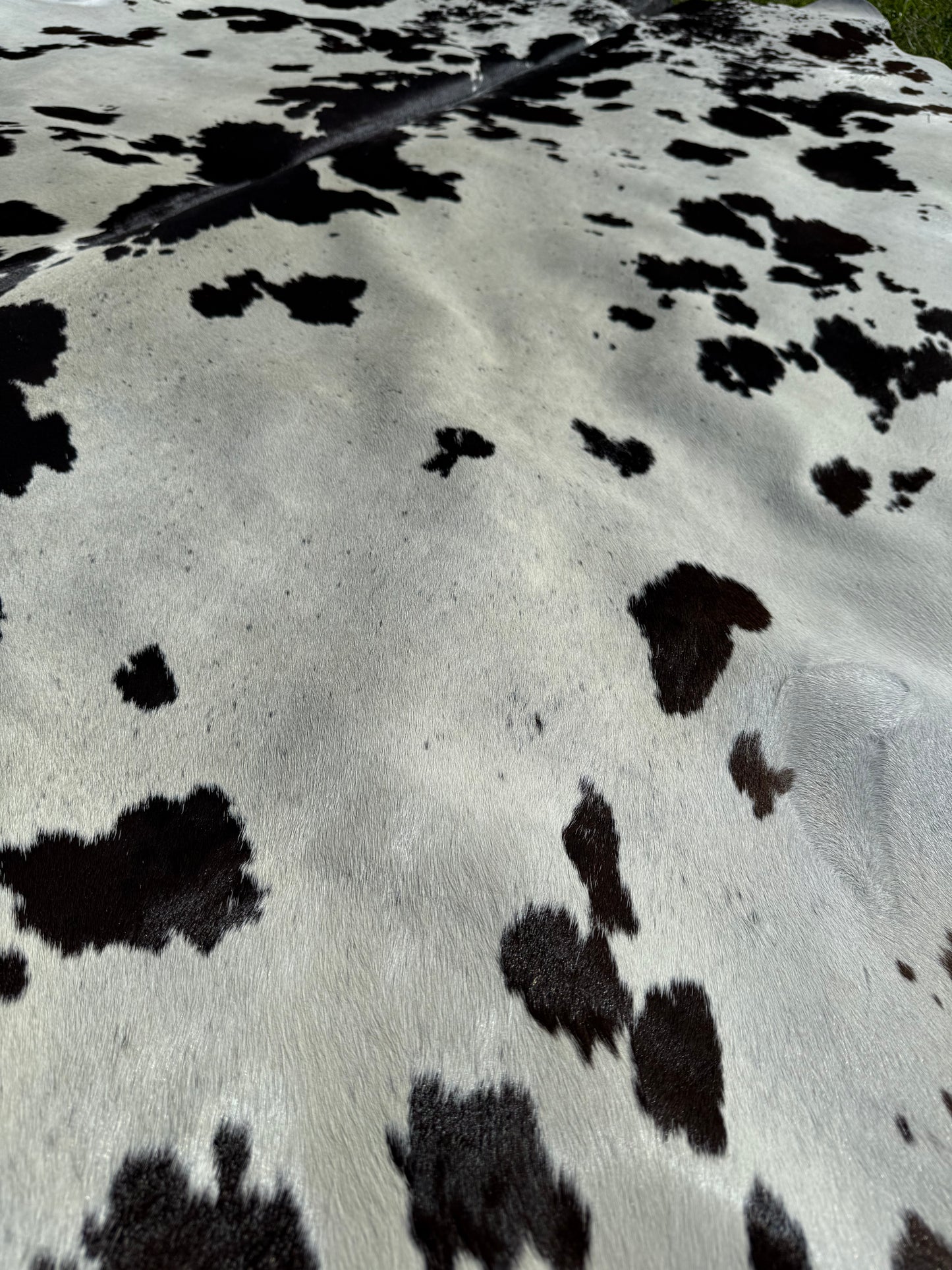 Cowhide Rug 291