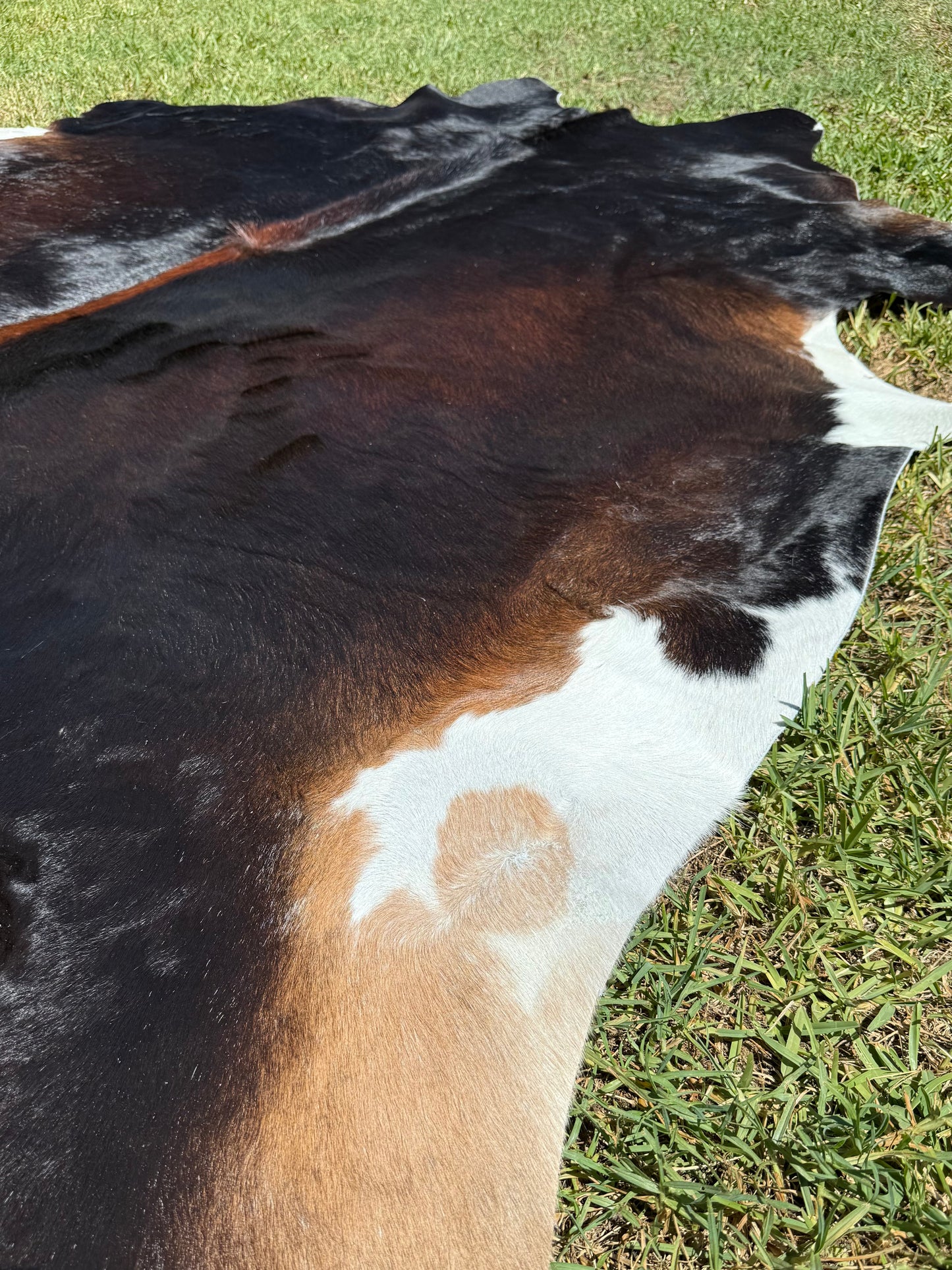 Cowhide Rug 368