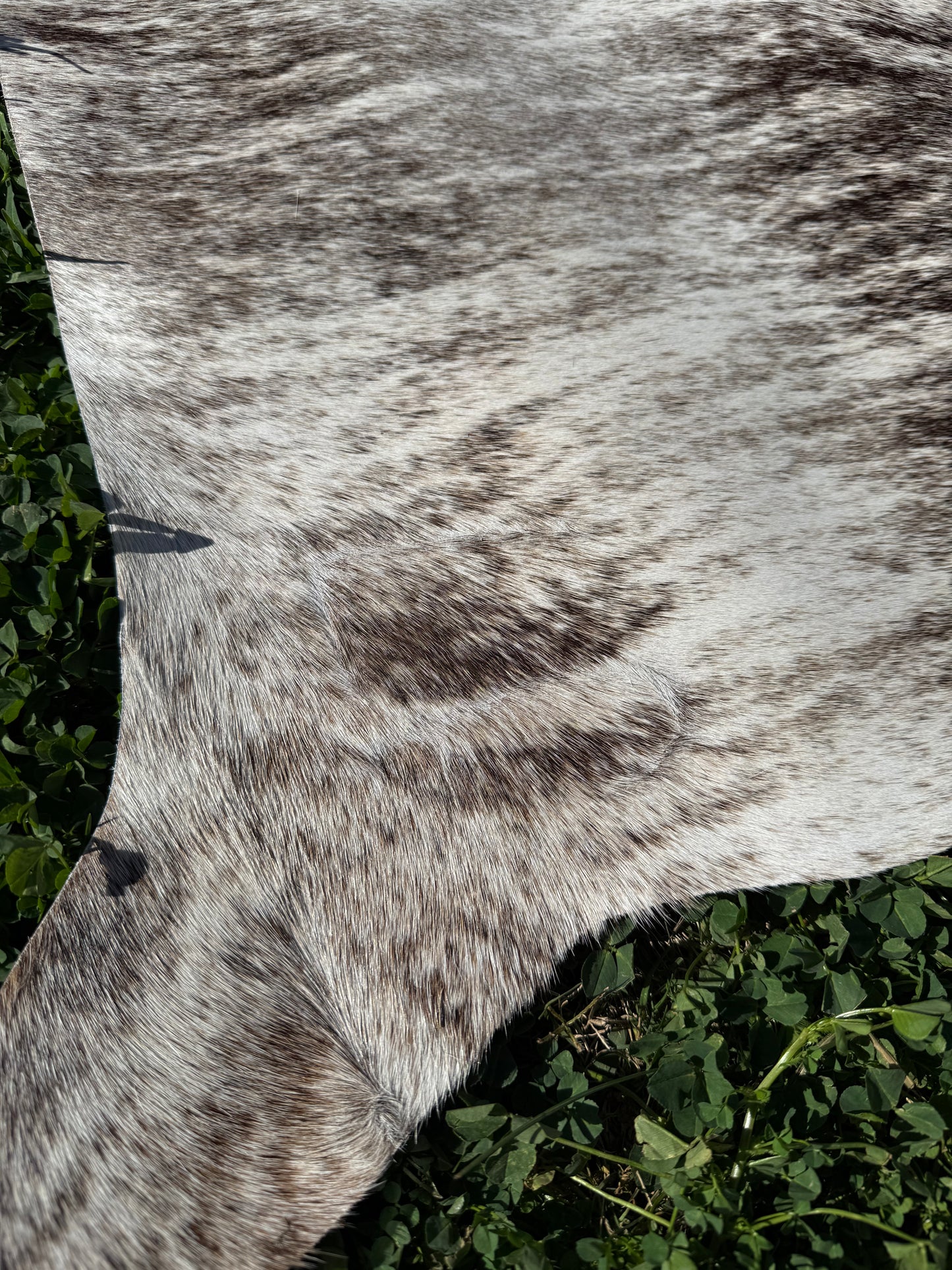 Mini Cowhide 24