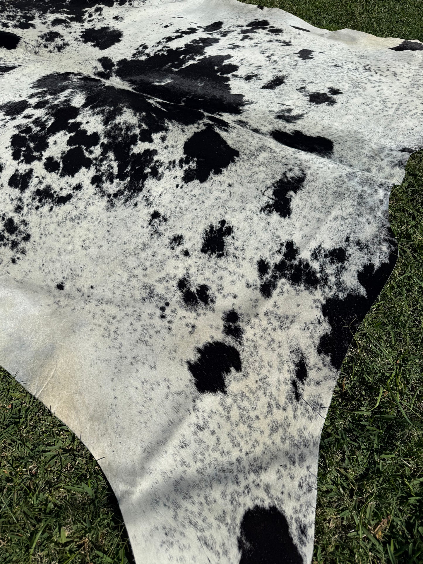 Cowhide Rug 289