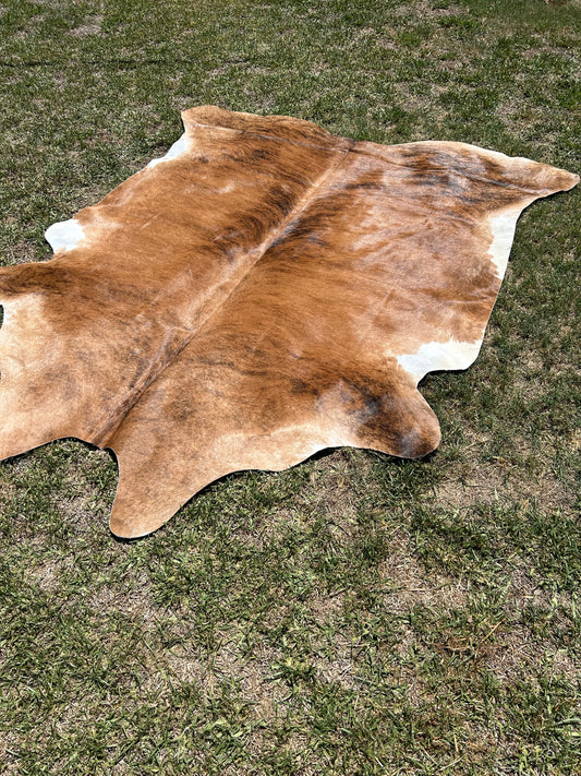 Cowhide Rug 263
