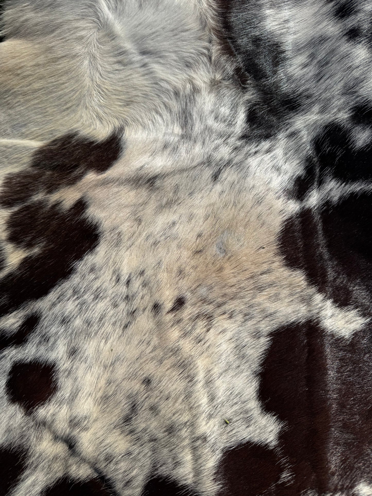 Craft hide side - 31