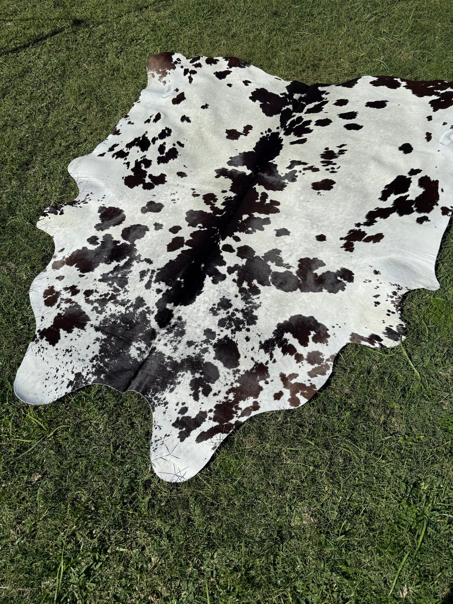 Cowhide Rug 291