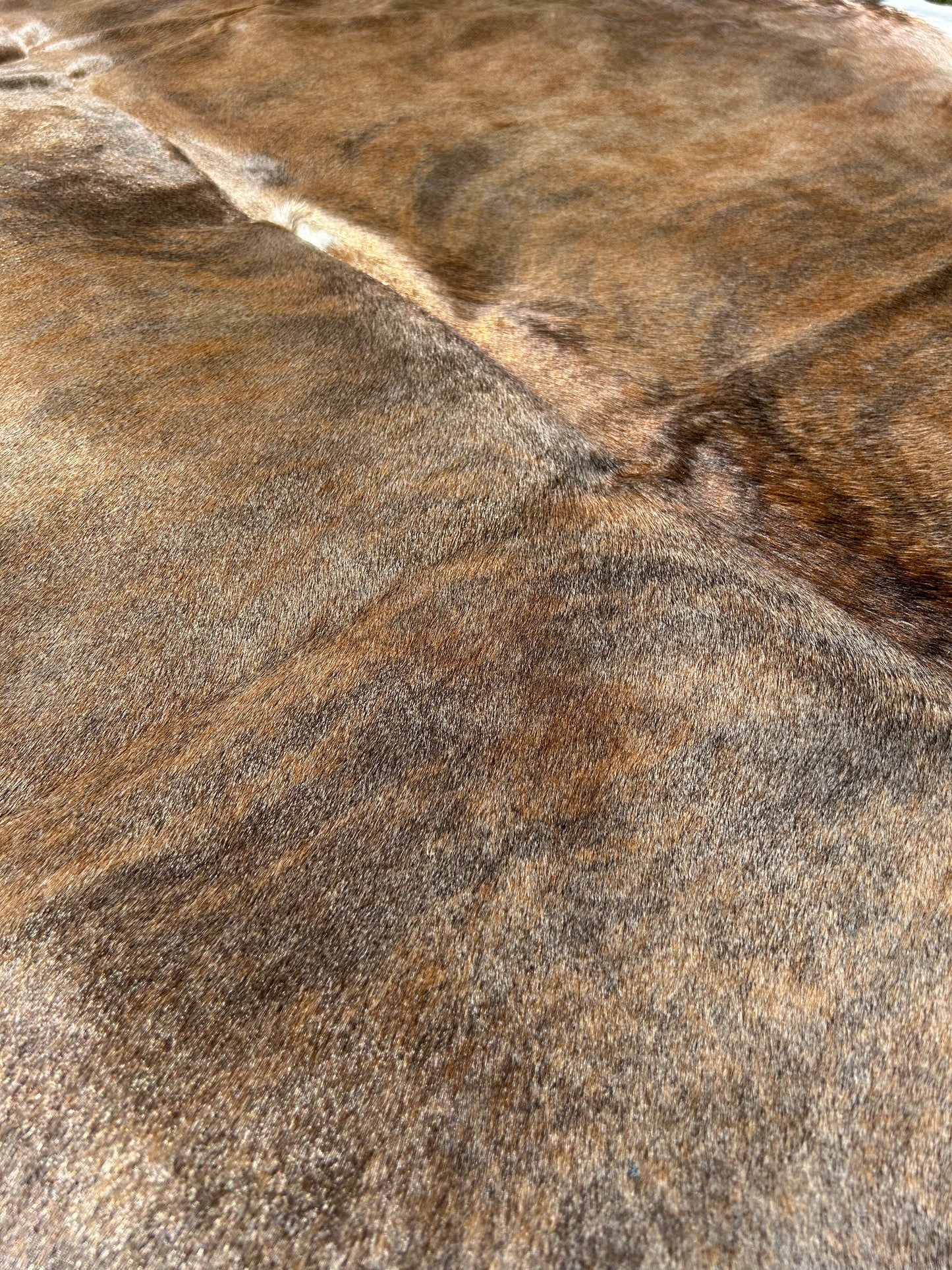Cowhide Rug 267