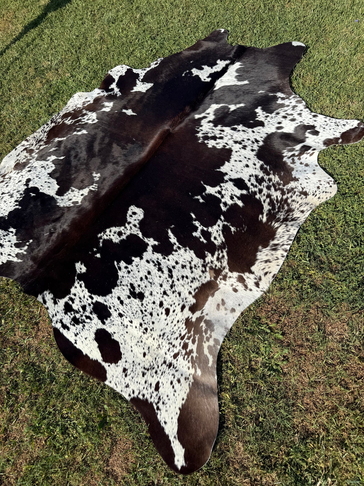 Cowhide Rug 343