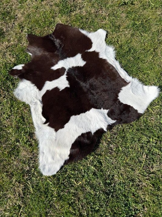 Calf Hide 49