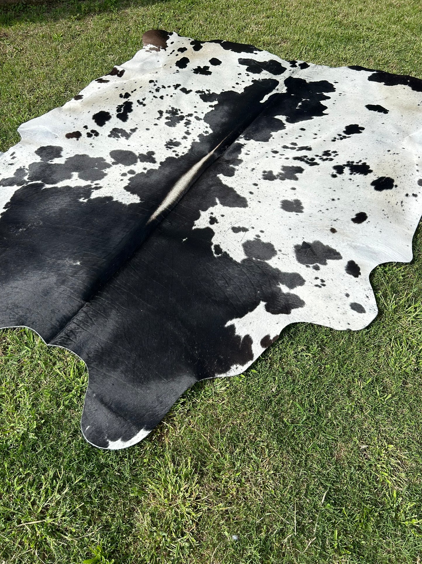 Cowhide Rug 275