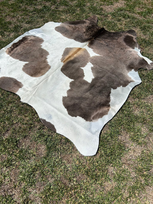 Cowhide Rug 264