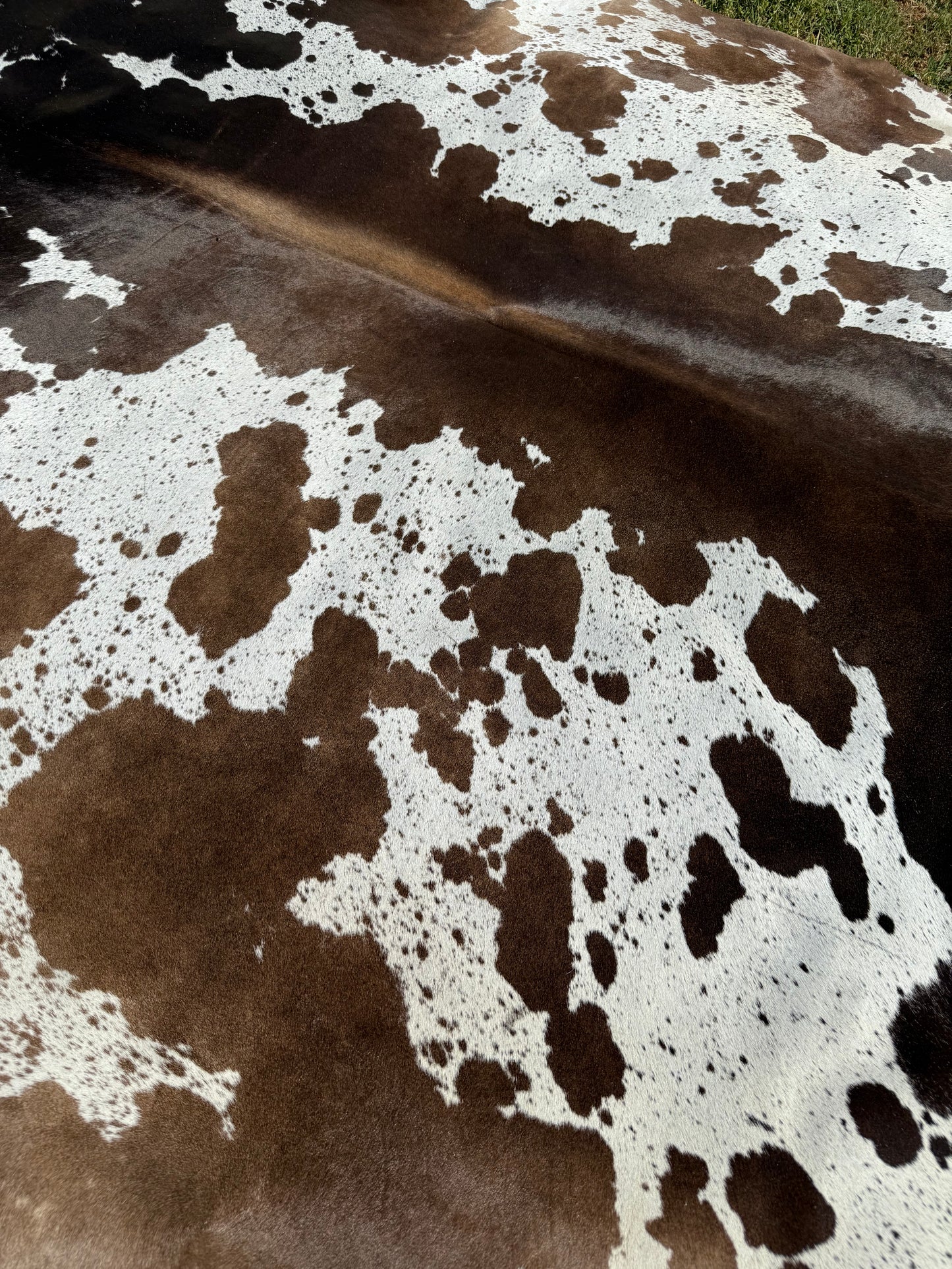 Cowhide Rug 342