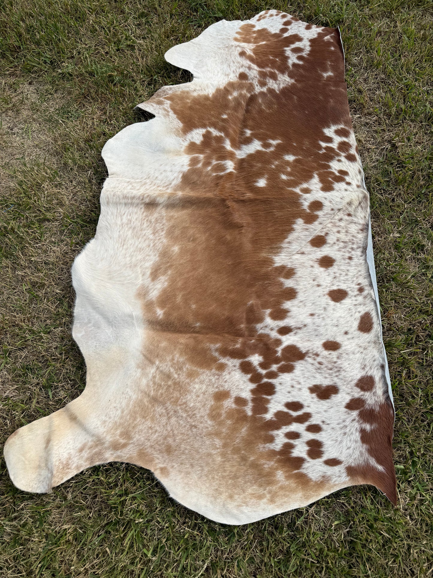 Craft hide side - 123