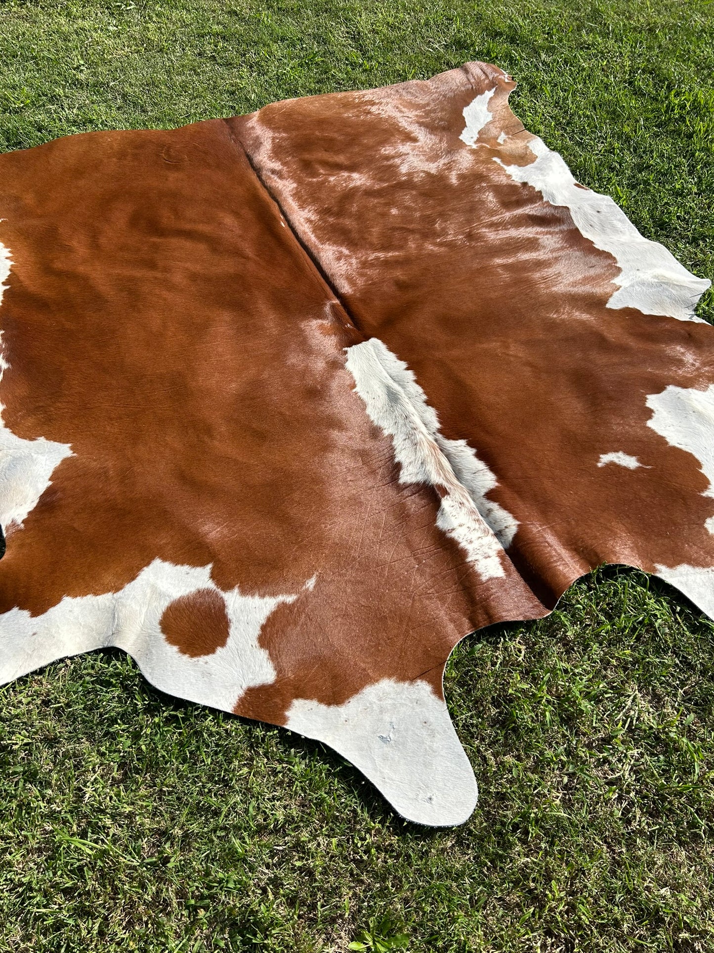 Cowhide Rug 280