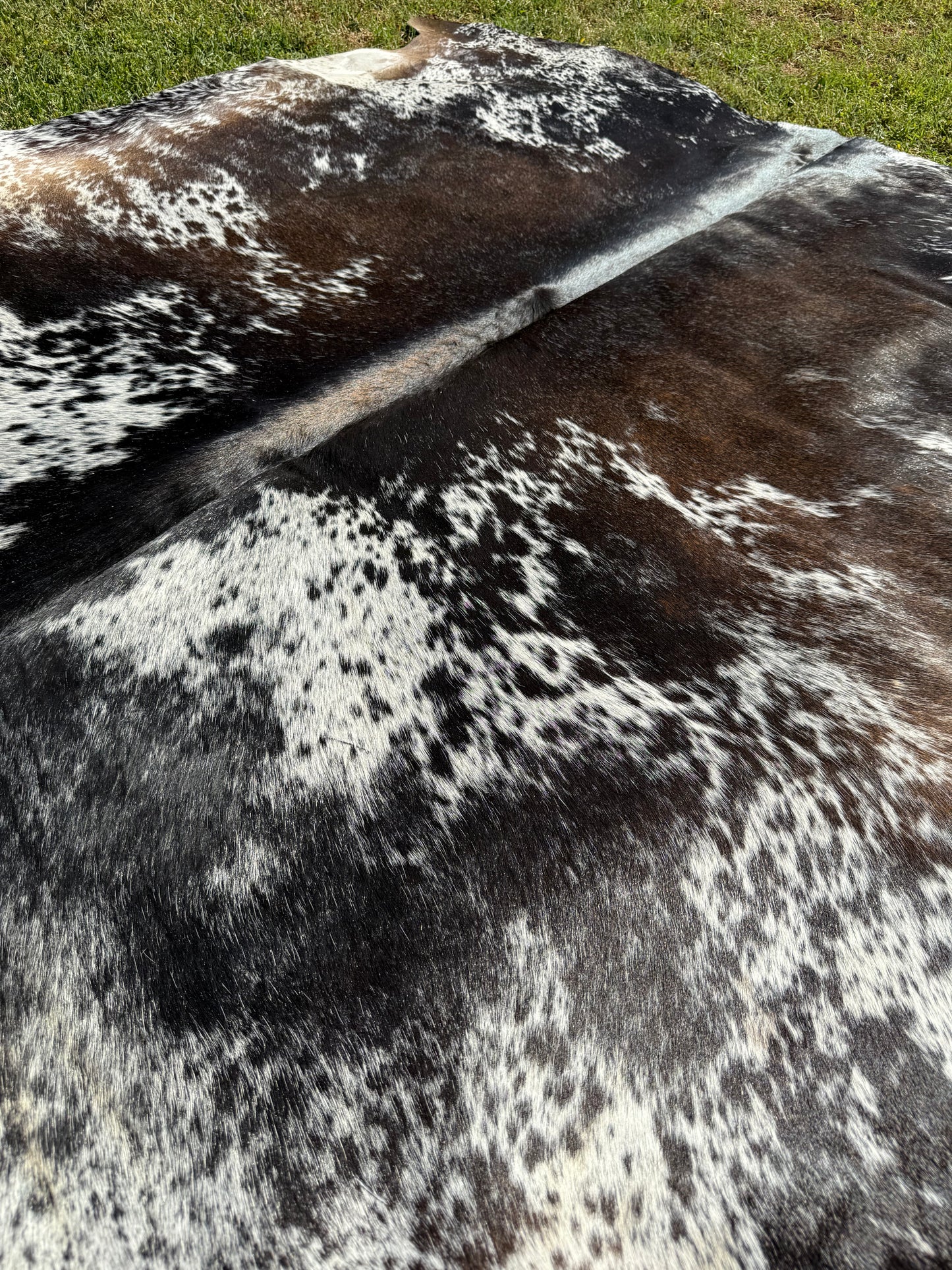 Cowhide Rug 340