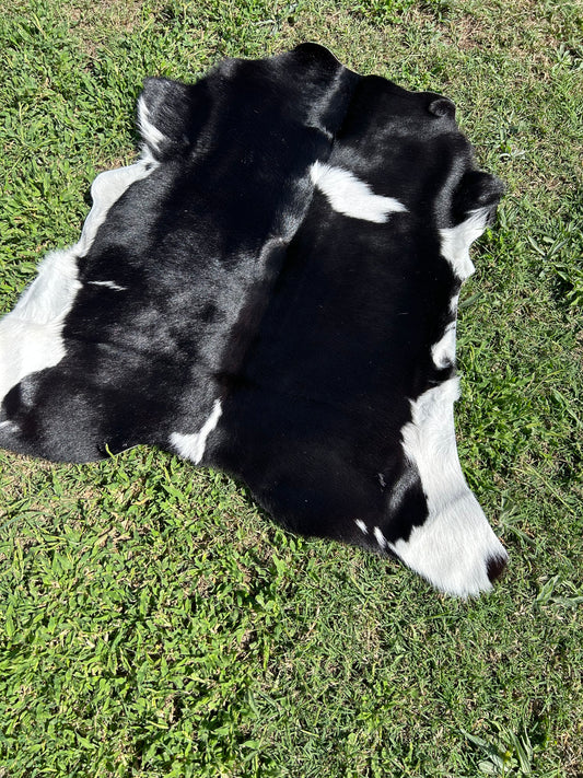 Calf Hide 43