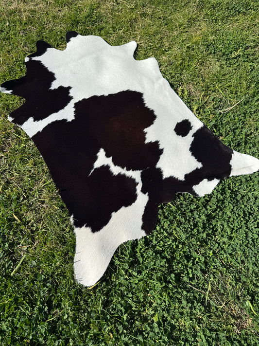 Mini Cowhide 19