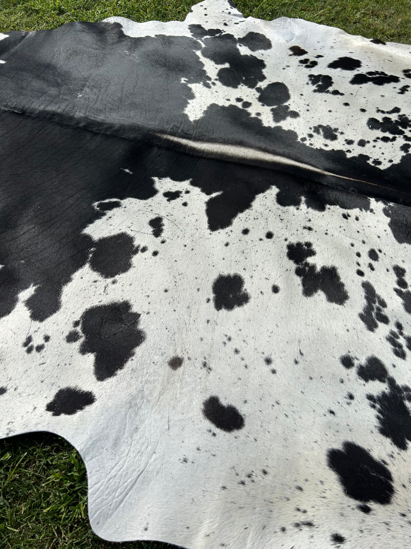 Cowhide Rug 275