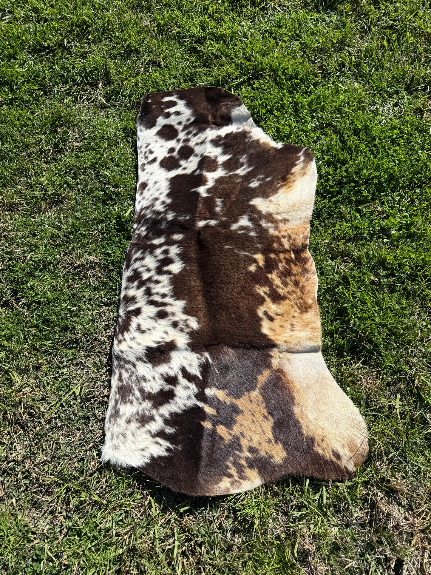 Craft hide side - 186