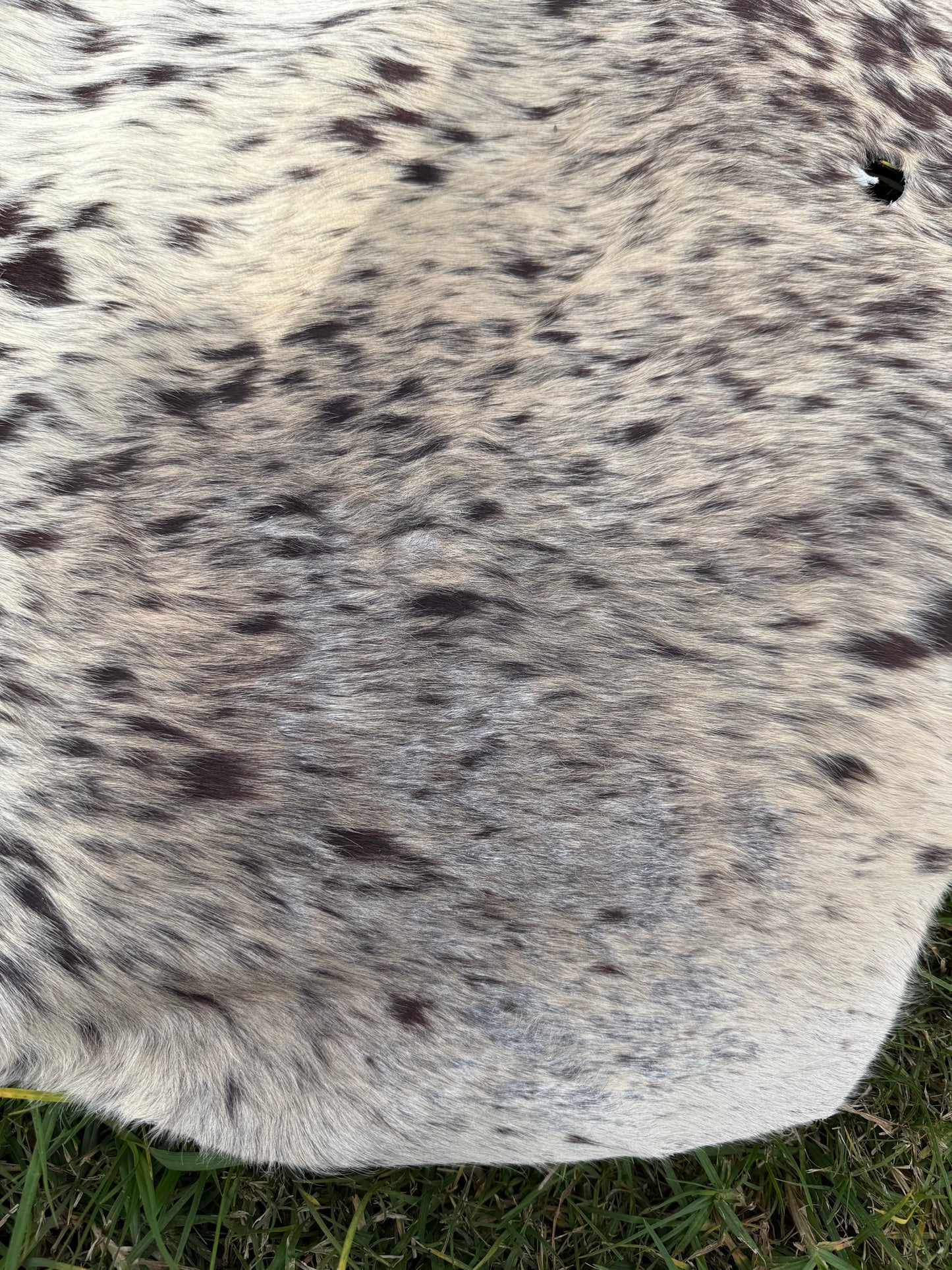 Craft hide side - 118