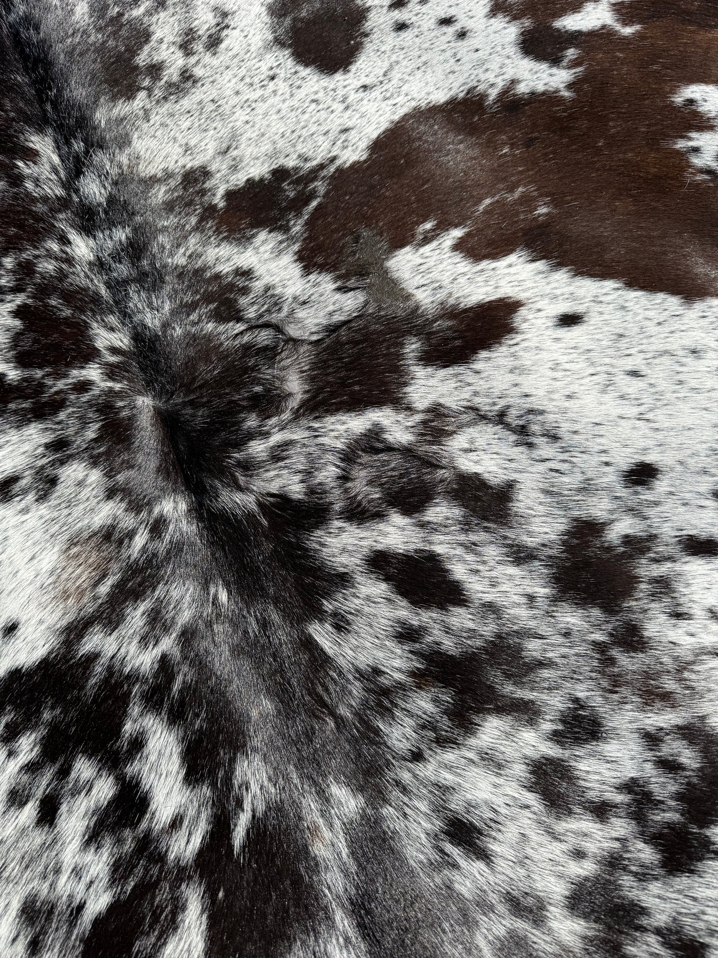 Cowhide Rug 301