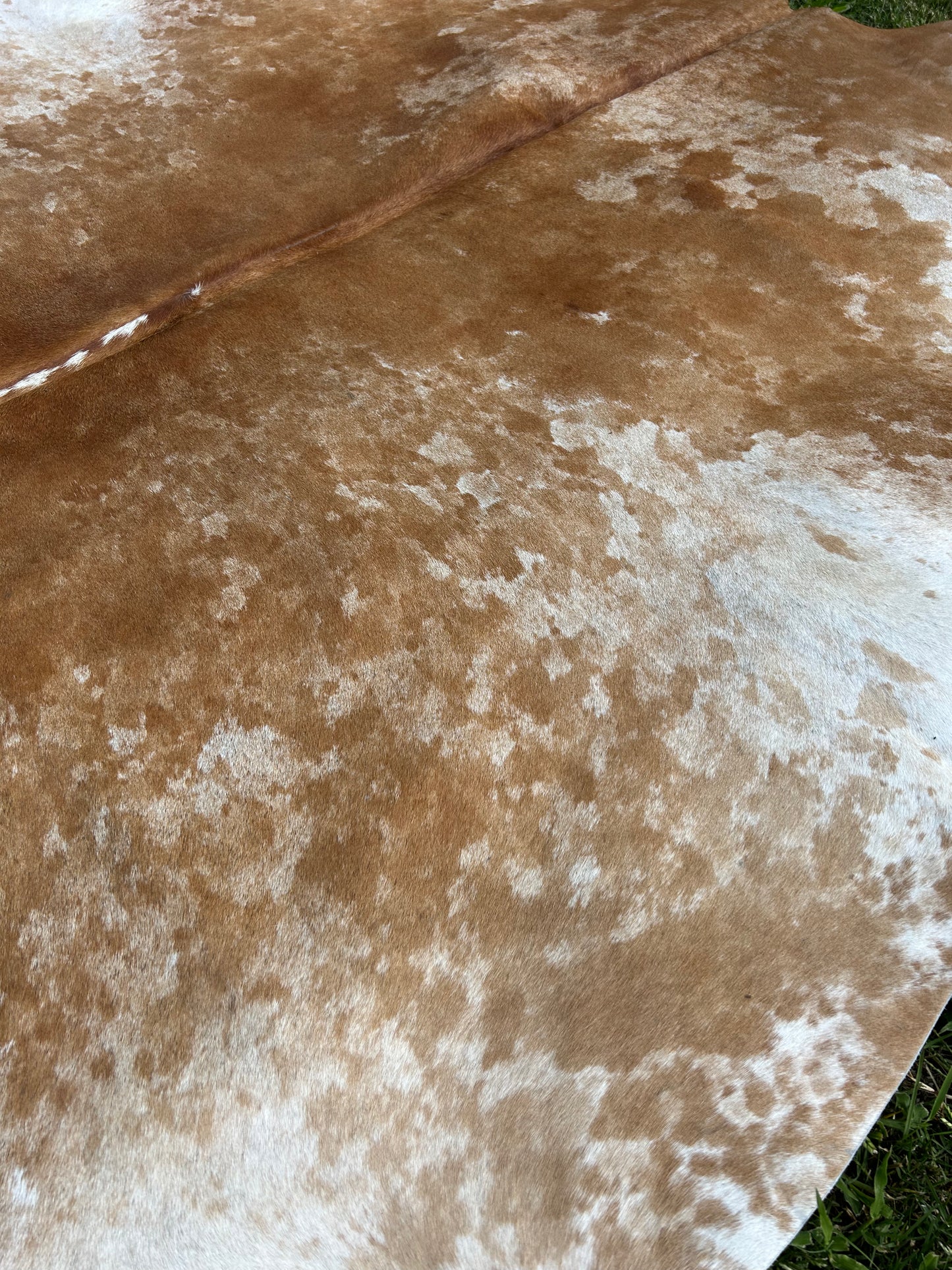 Cowhide Rug 278