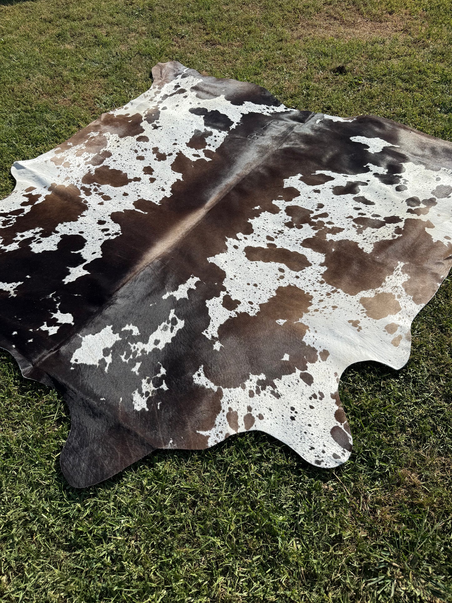 Cowhide Rug 342