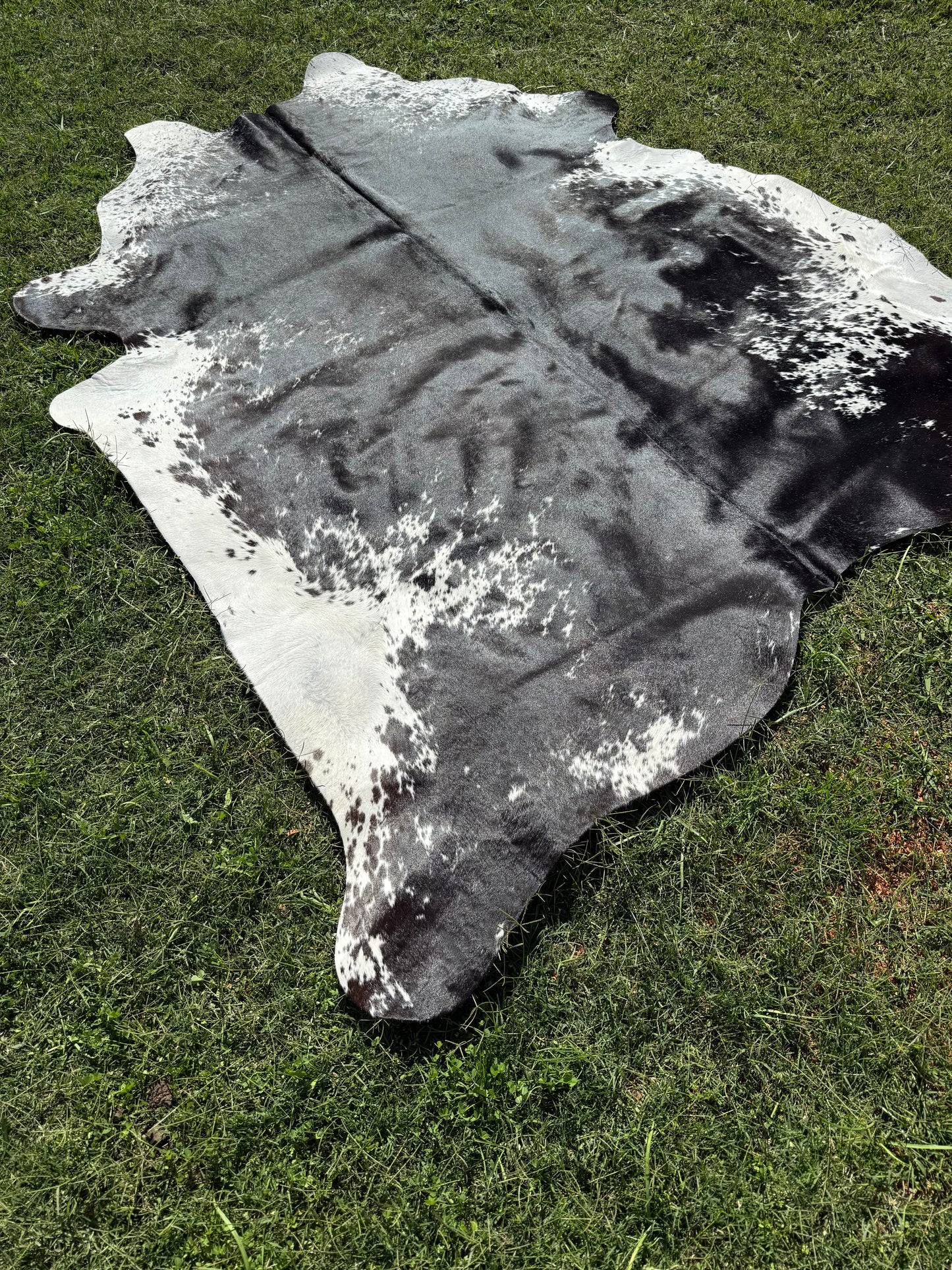 Cowhide Rug 293