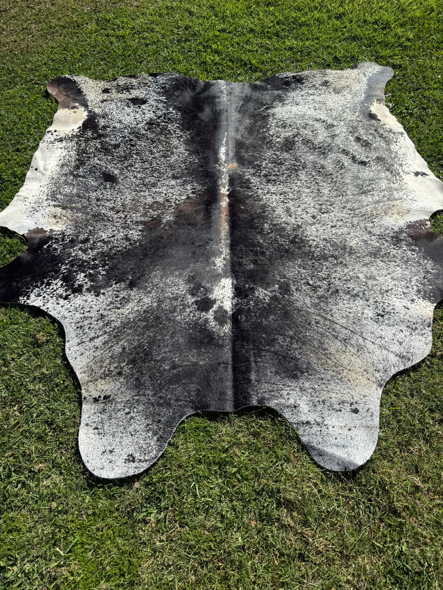 Cowhide Rug 300