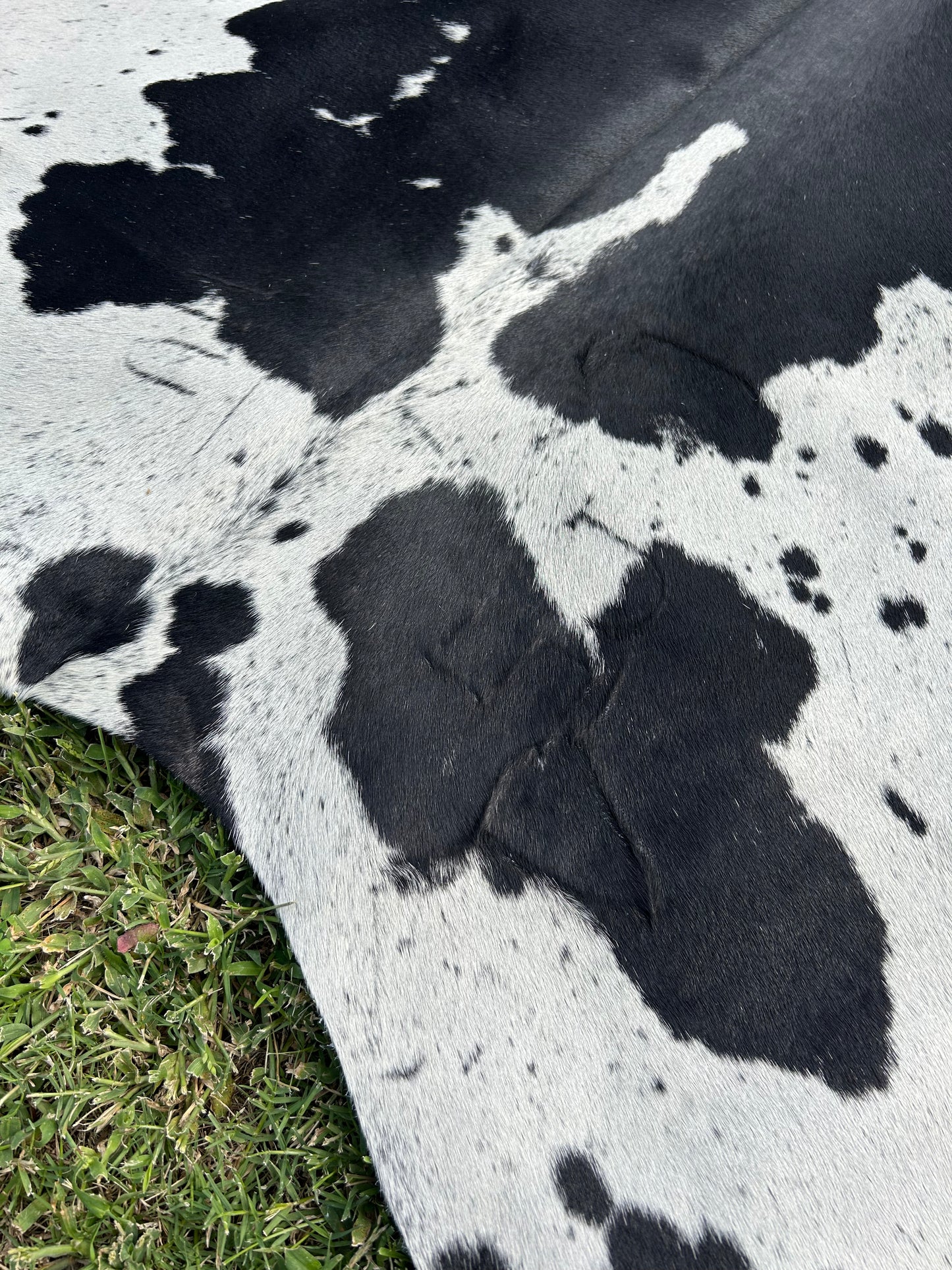 Cowhide Rug 275
