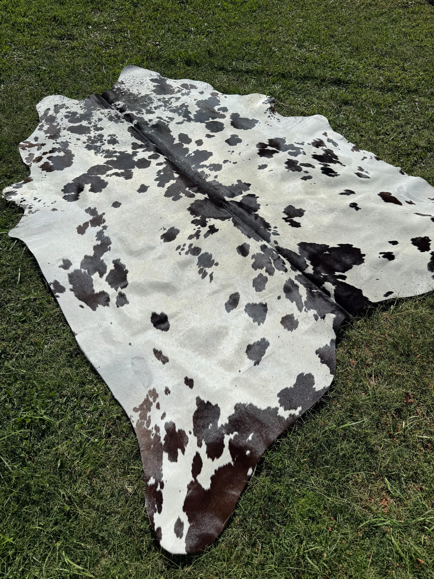 Cowhide Rug 291