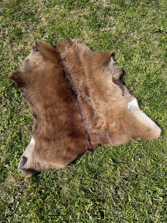 Calf Hide 48