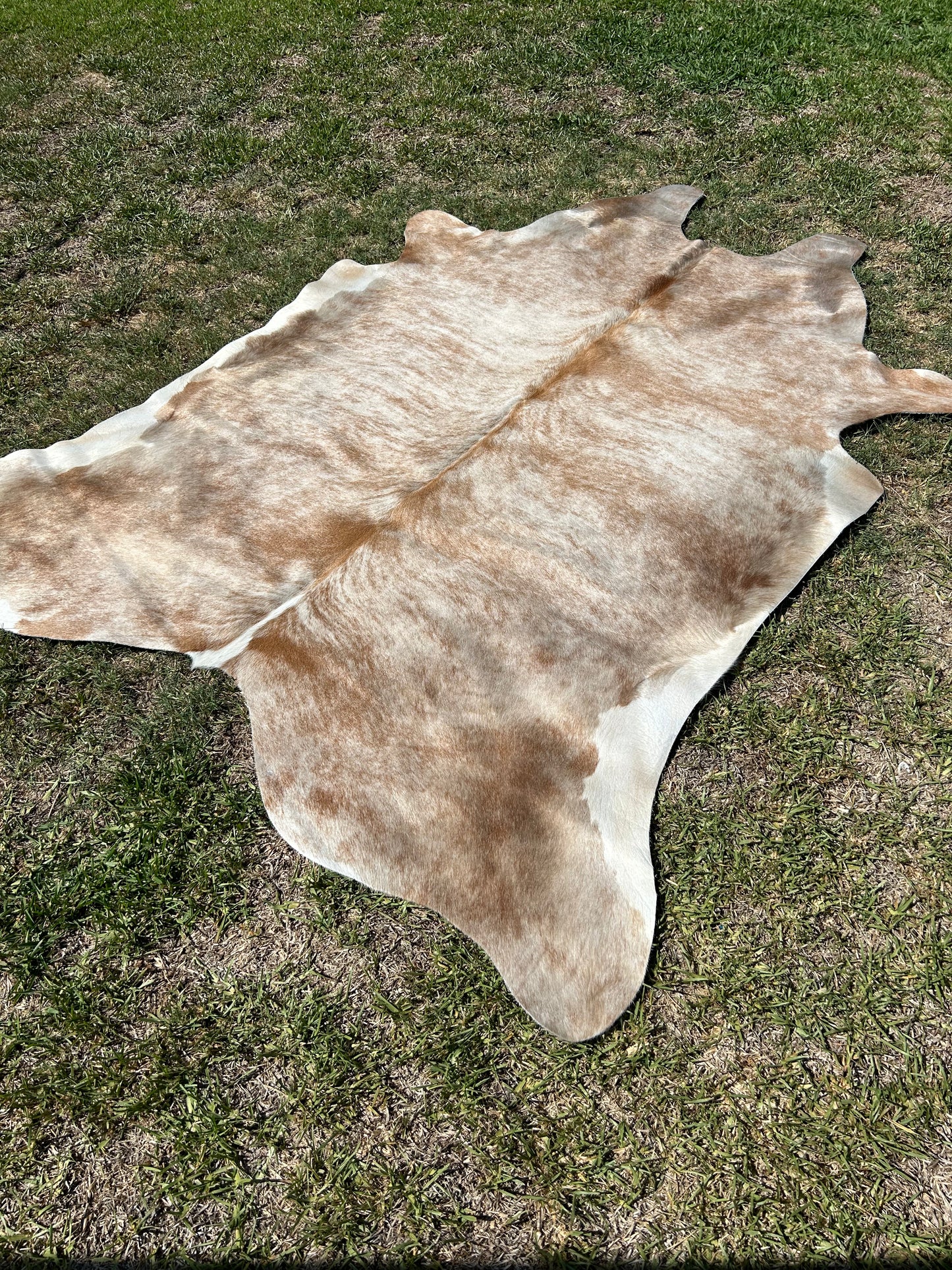 Cowhide Rug 265