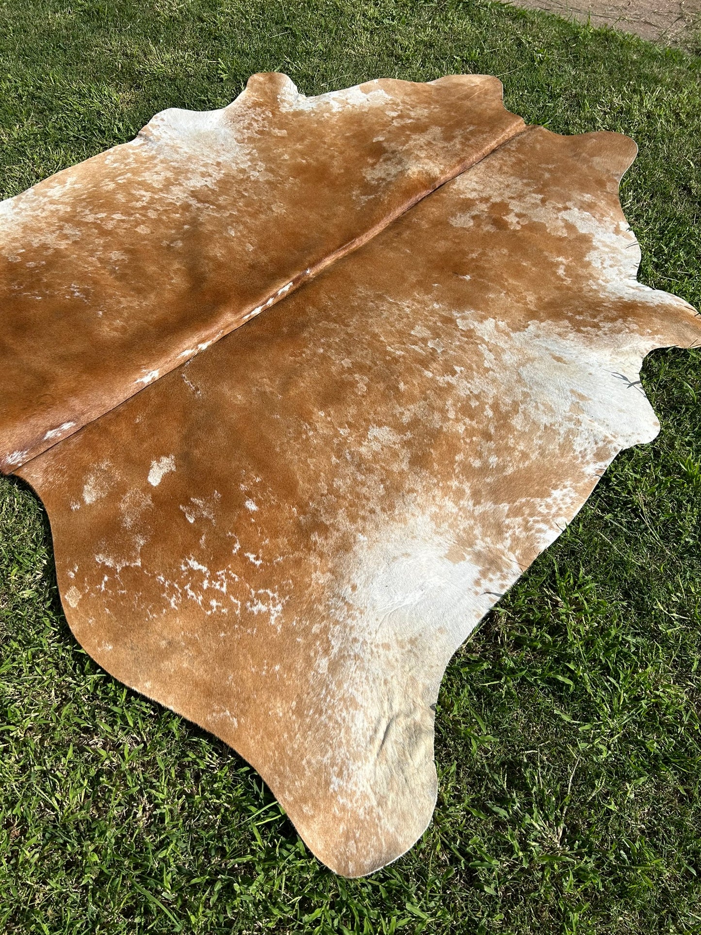 Cowhide Rug 278