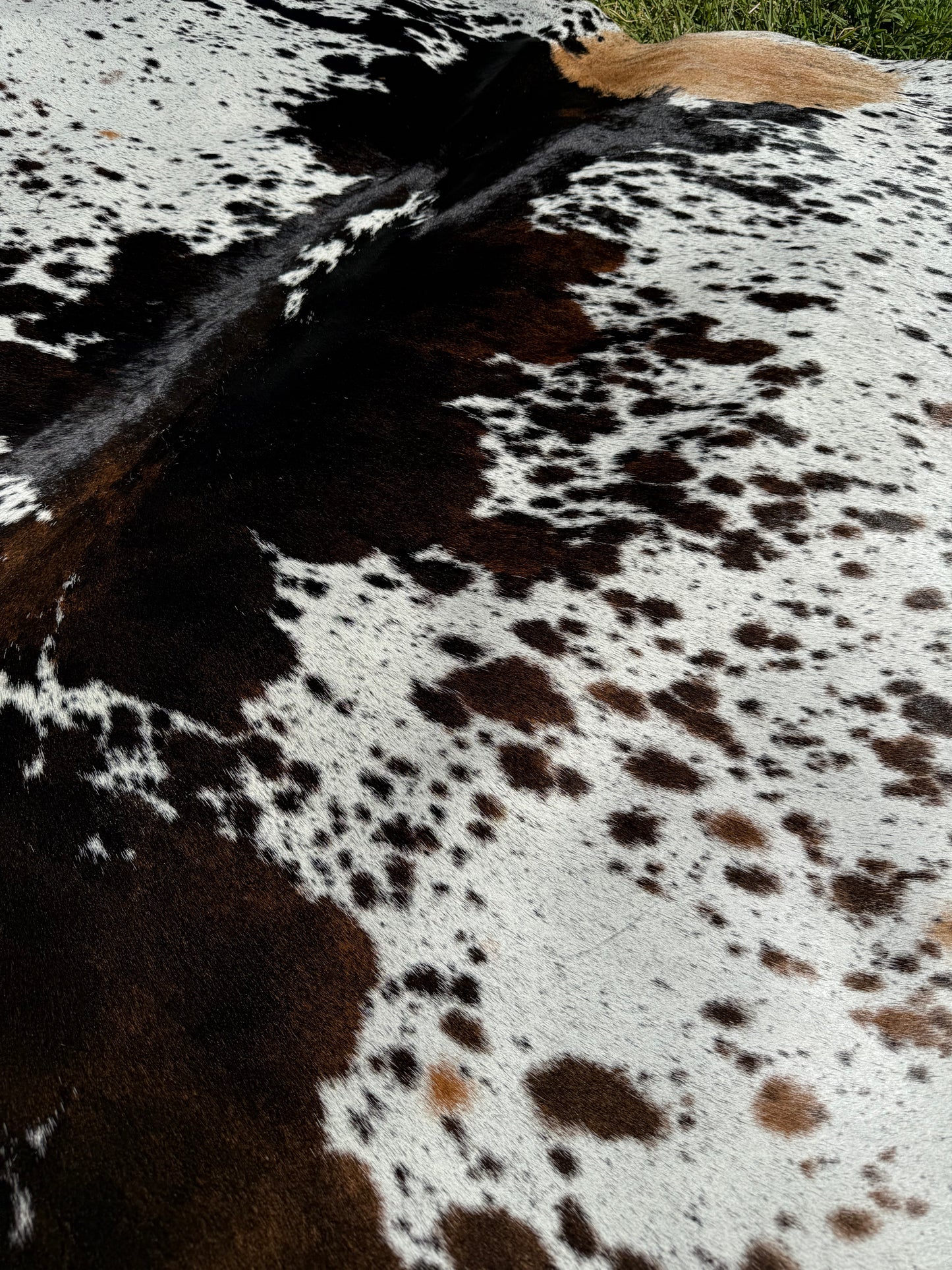Cowhide Rug 414