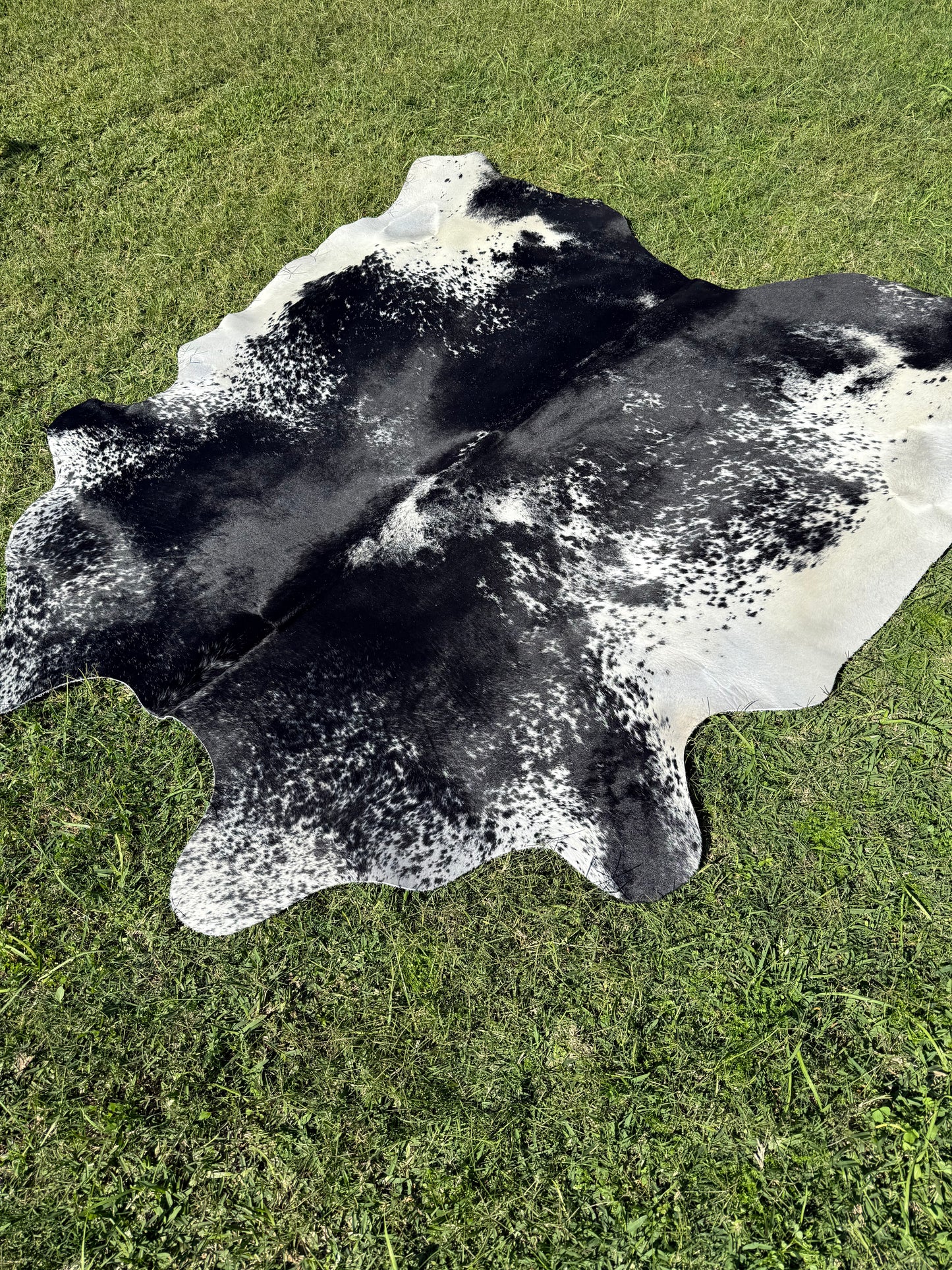 Cowhide Rug 290