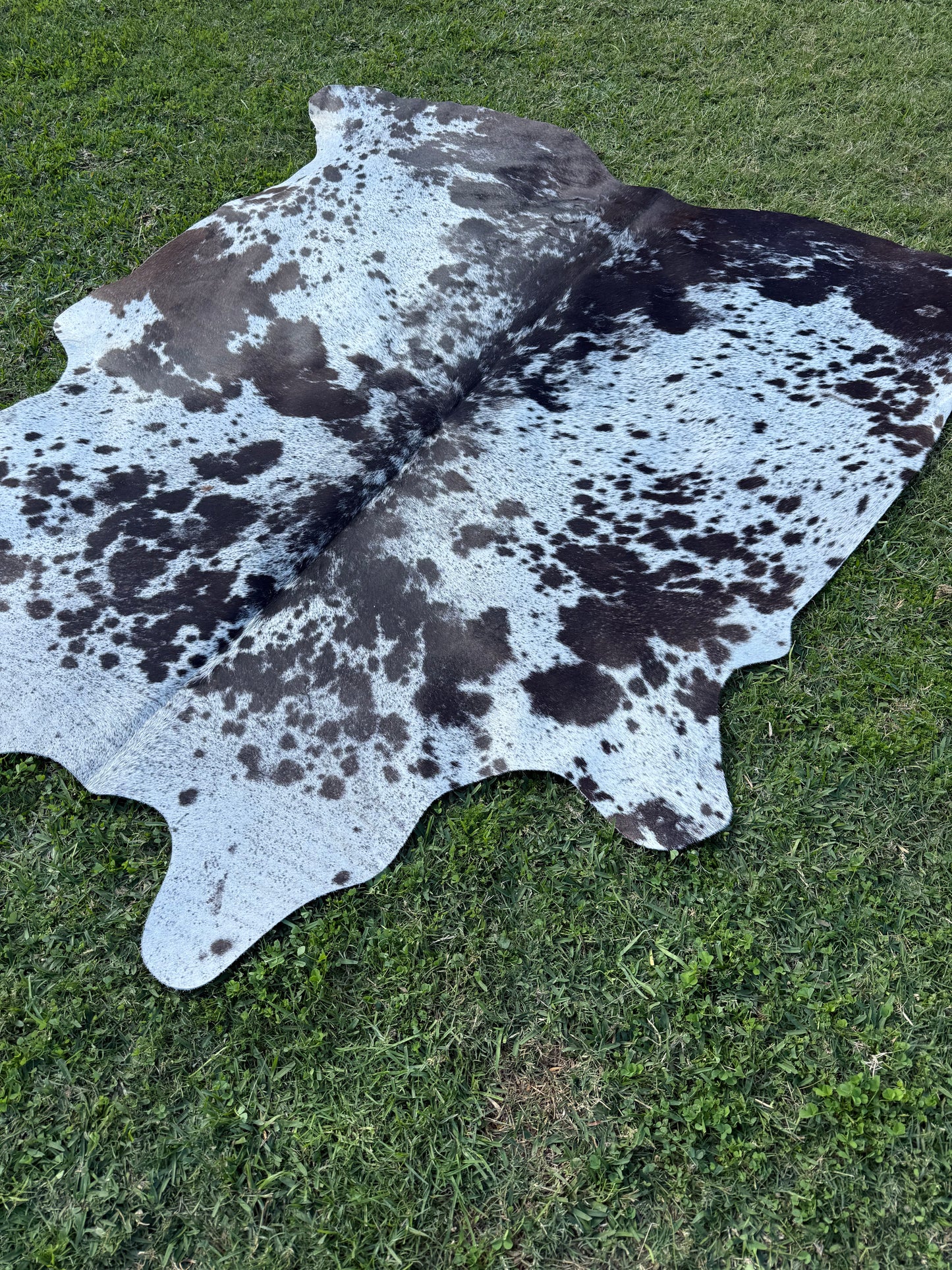 Cowhide Rug 301