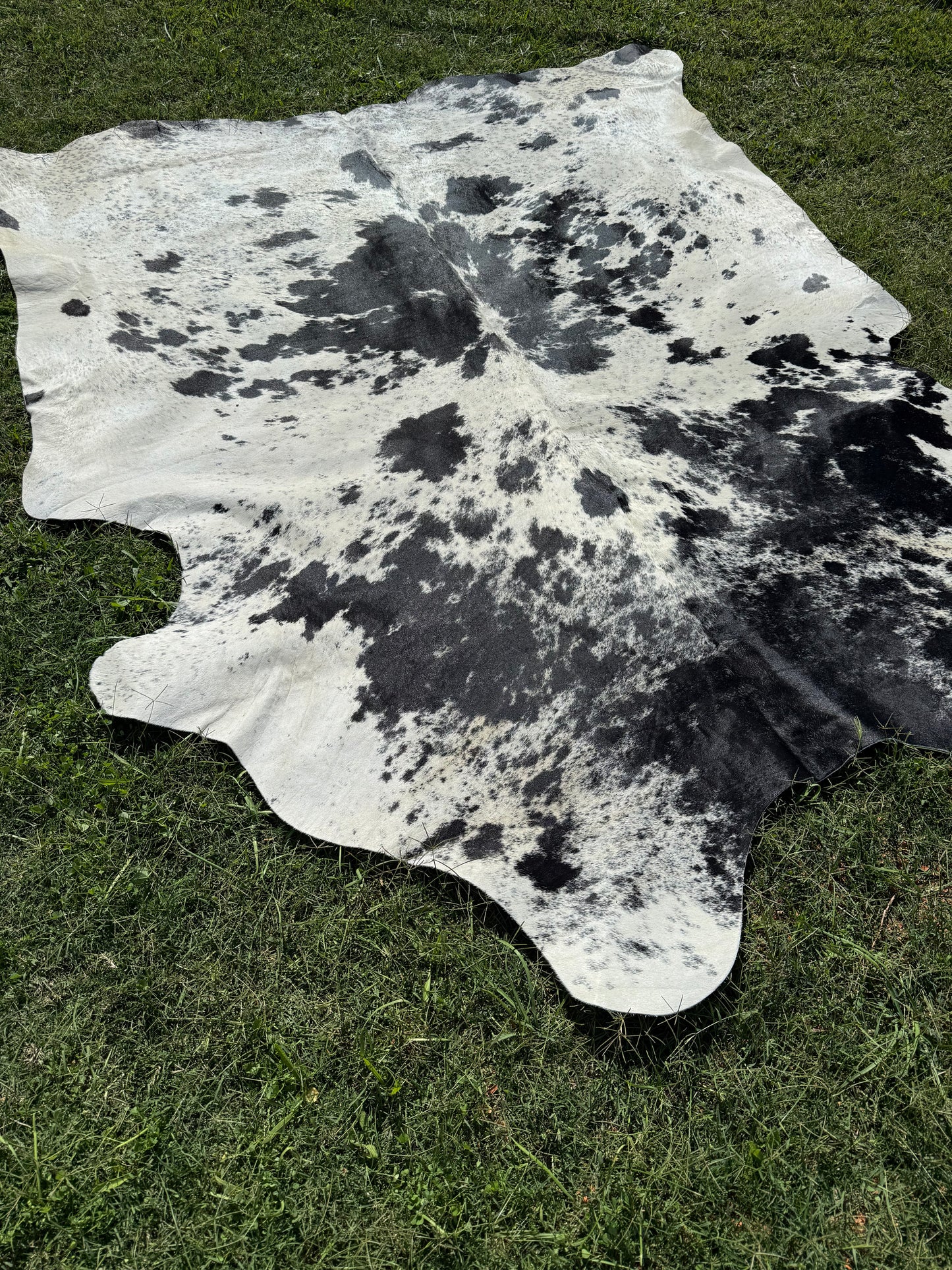 Cowhide Rug 289