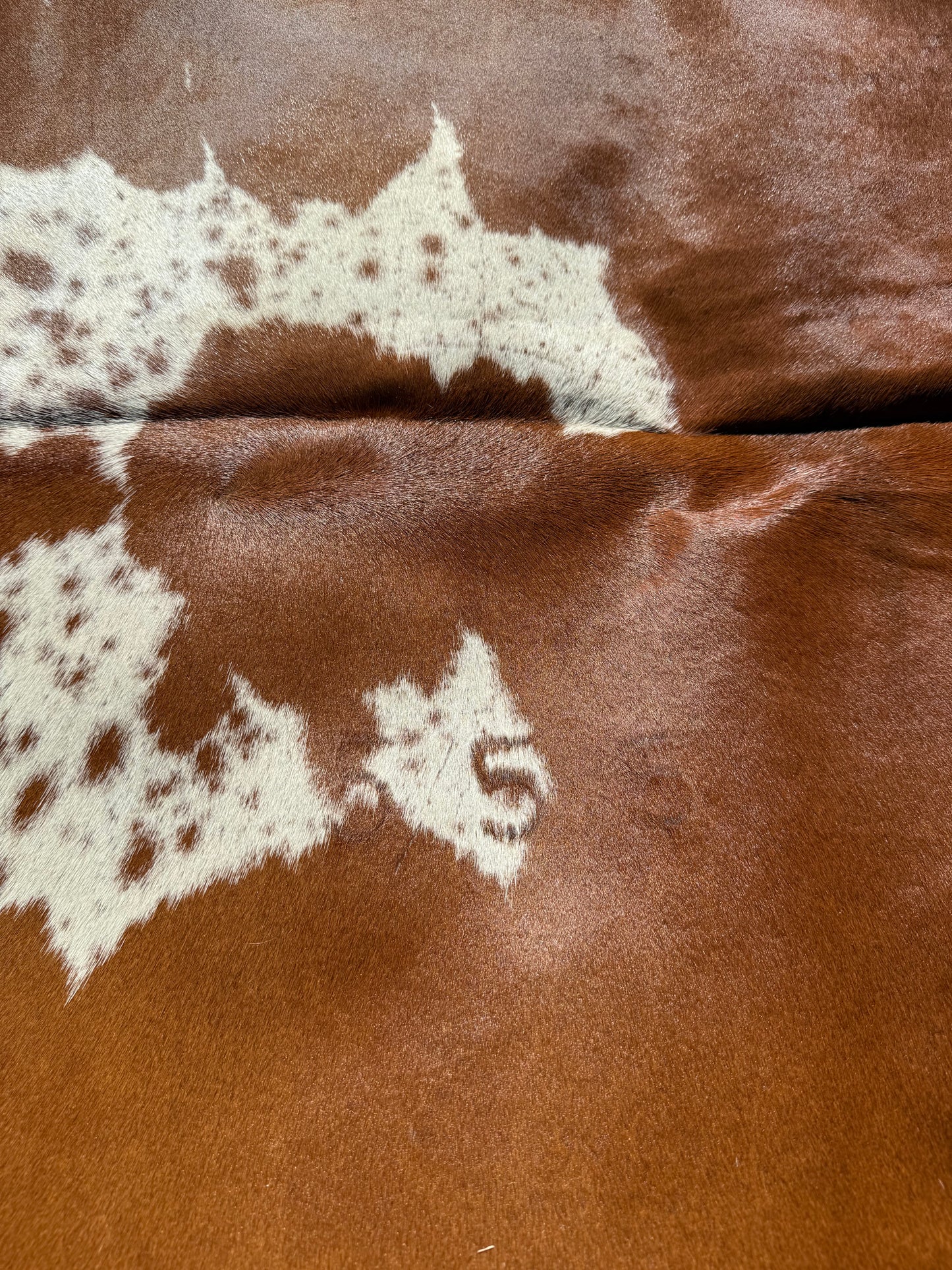 Cowhide Rug 403