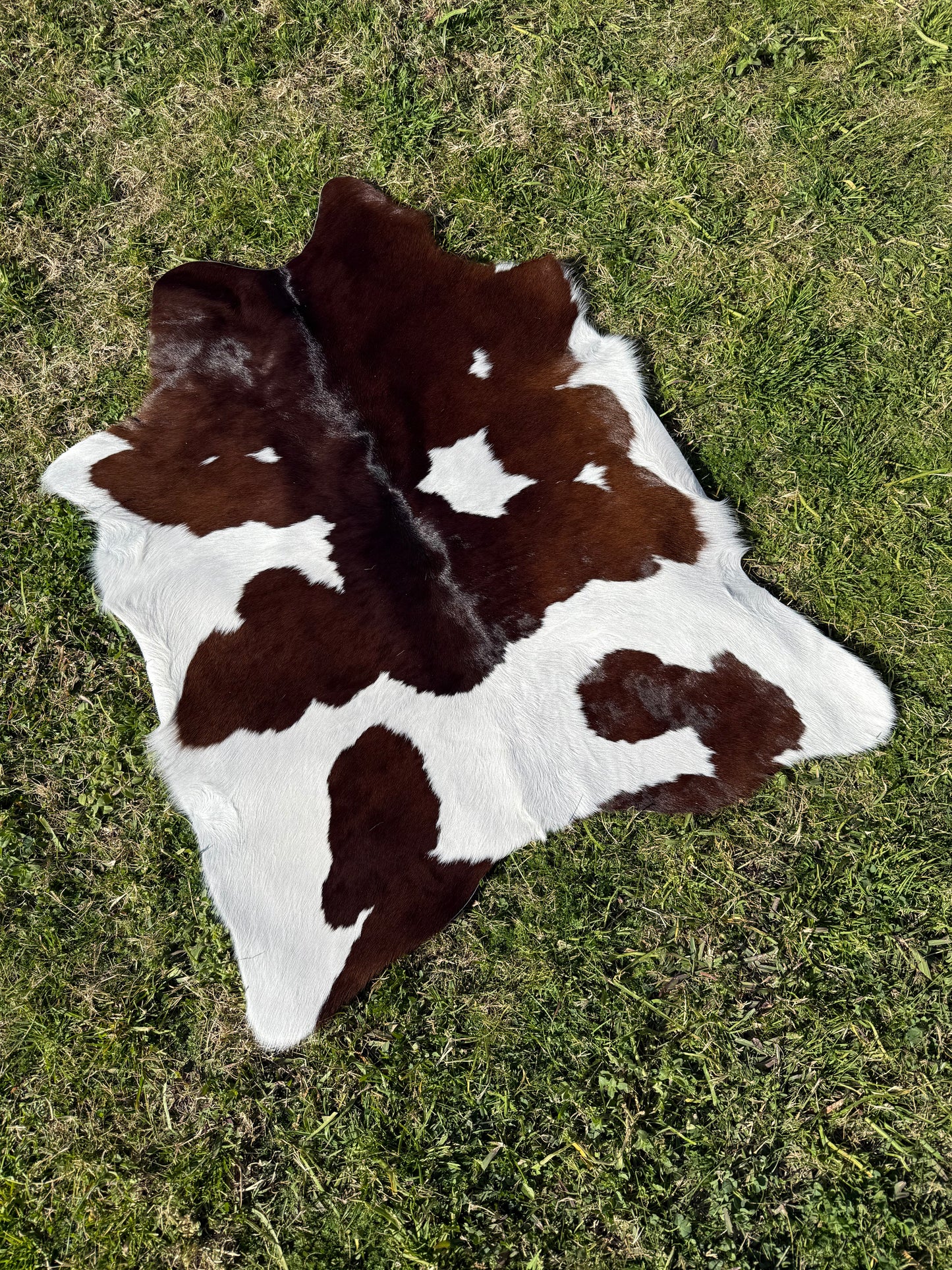 Calf Hide 57