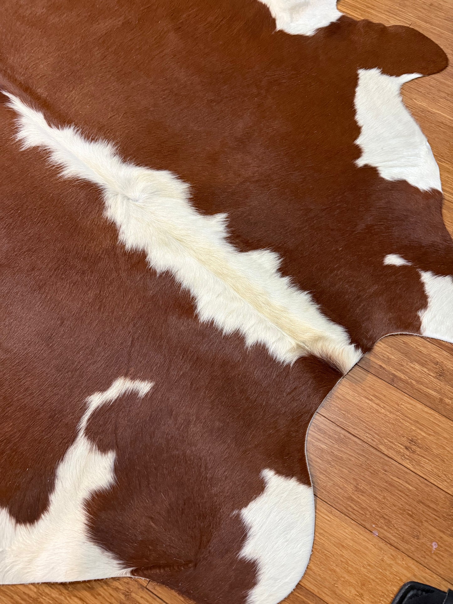 Cowhide Rug Small 325