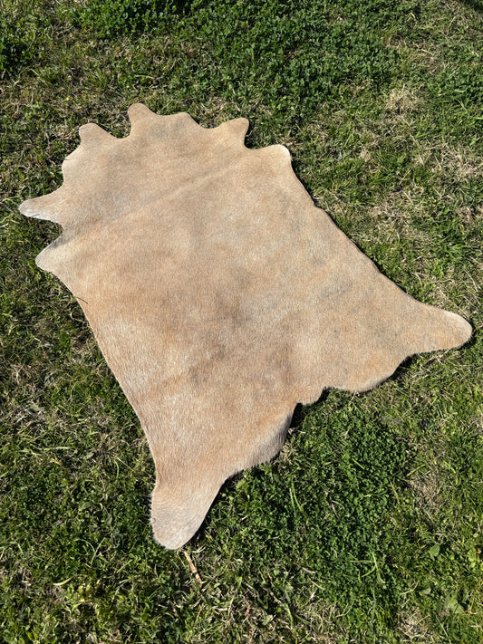 Mini Cowhide 12