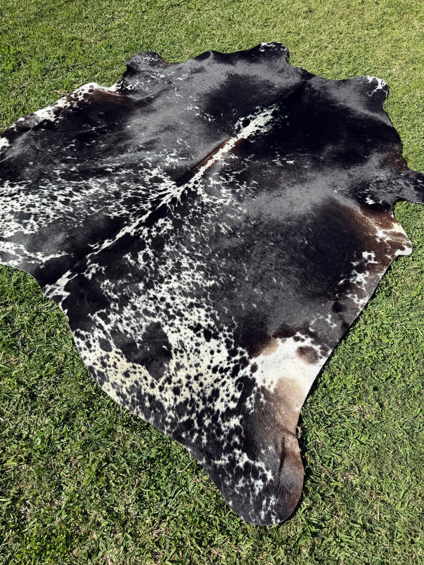 Cowhide Rug 304