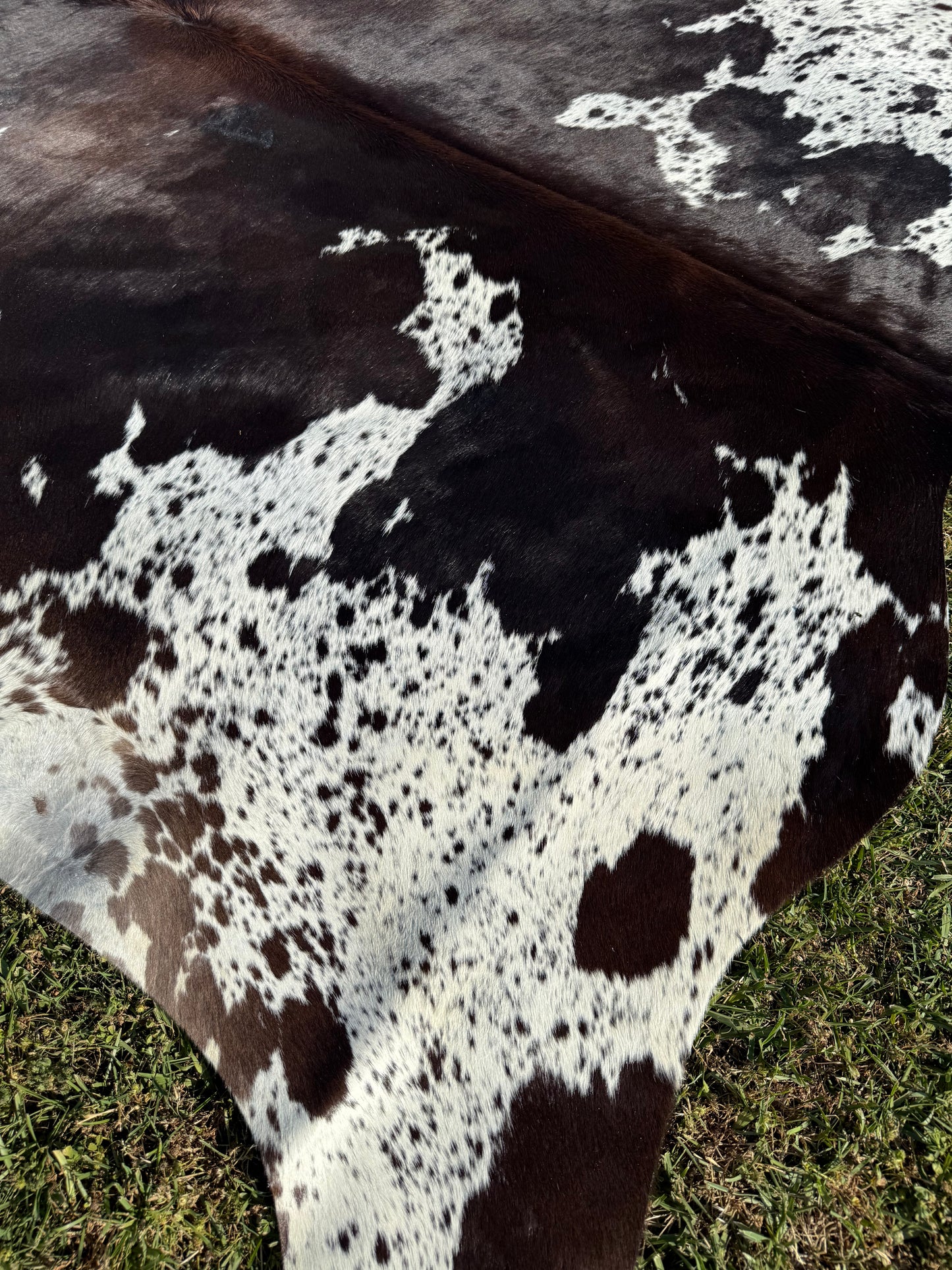 Cowhide Rug 343